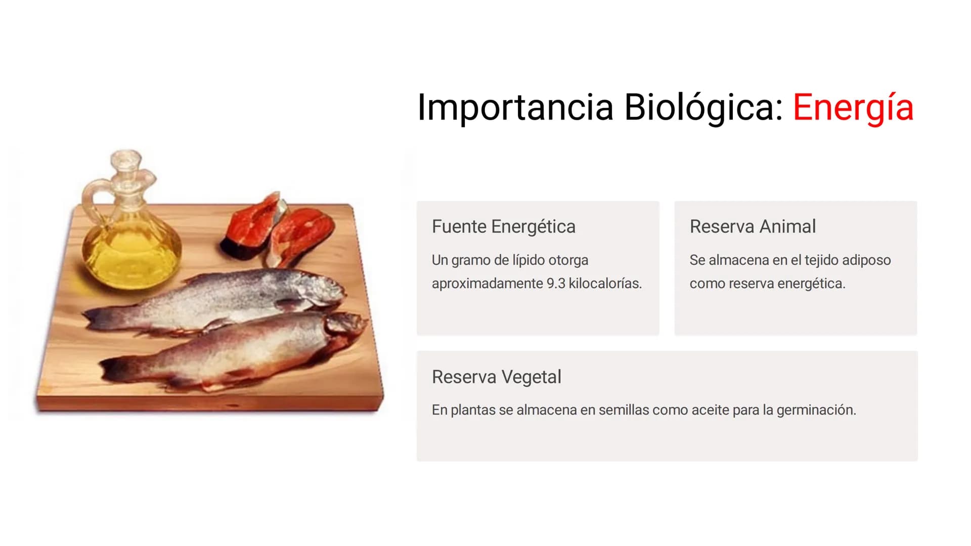 # LOS LÍPIDOS

glycoprotein
external membrane
surface
Plasma Membrane
carbohydrate
chain
Los lípidos son biomoléculas orgánicas
formadas por