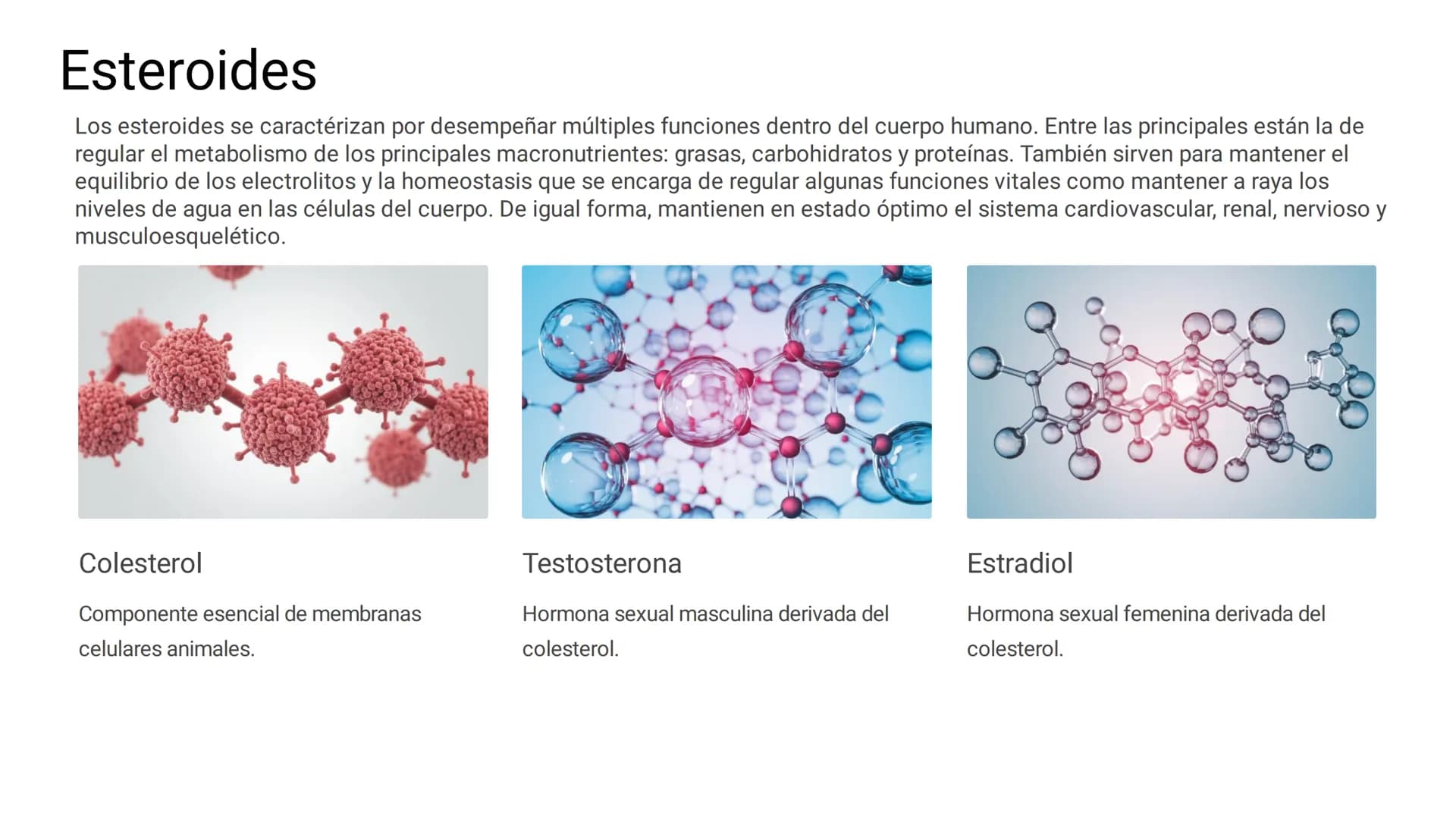 # LOS LÍPIDOS

glycoprotein
external membrane
surface
Plasma Membrane
carbohydrate
chain
Los lípidos son biomoléculas orgánicas
formadas por