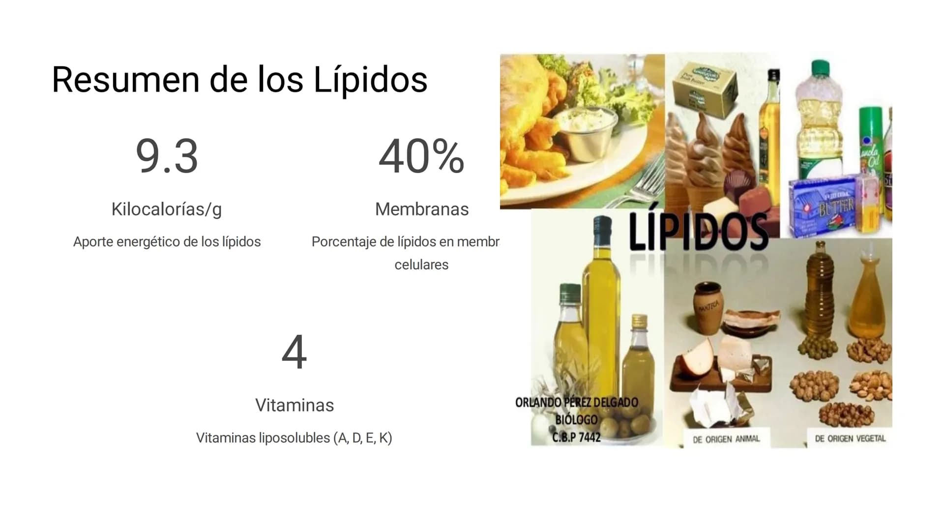 # LOS LÍPIDOS

glycoprotein
external membrane
surface
Plasma Membrane
carbohydrate
chain
Los lípidos son biomoléculas orgánicas
formadas por