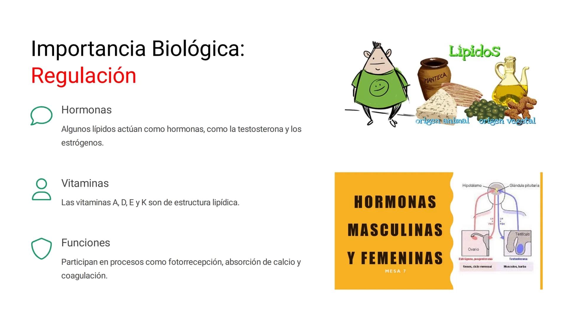 # LOS LÍPIDOS

glycoprotein
external membrane
surface
Plasma Membrane
carbohydrate
chain
Los lípidos son biomoléculas orgánicas
formadas por