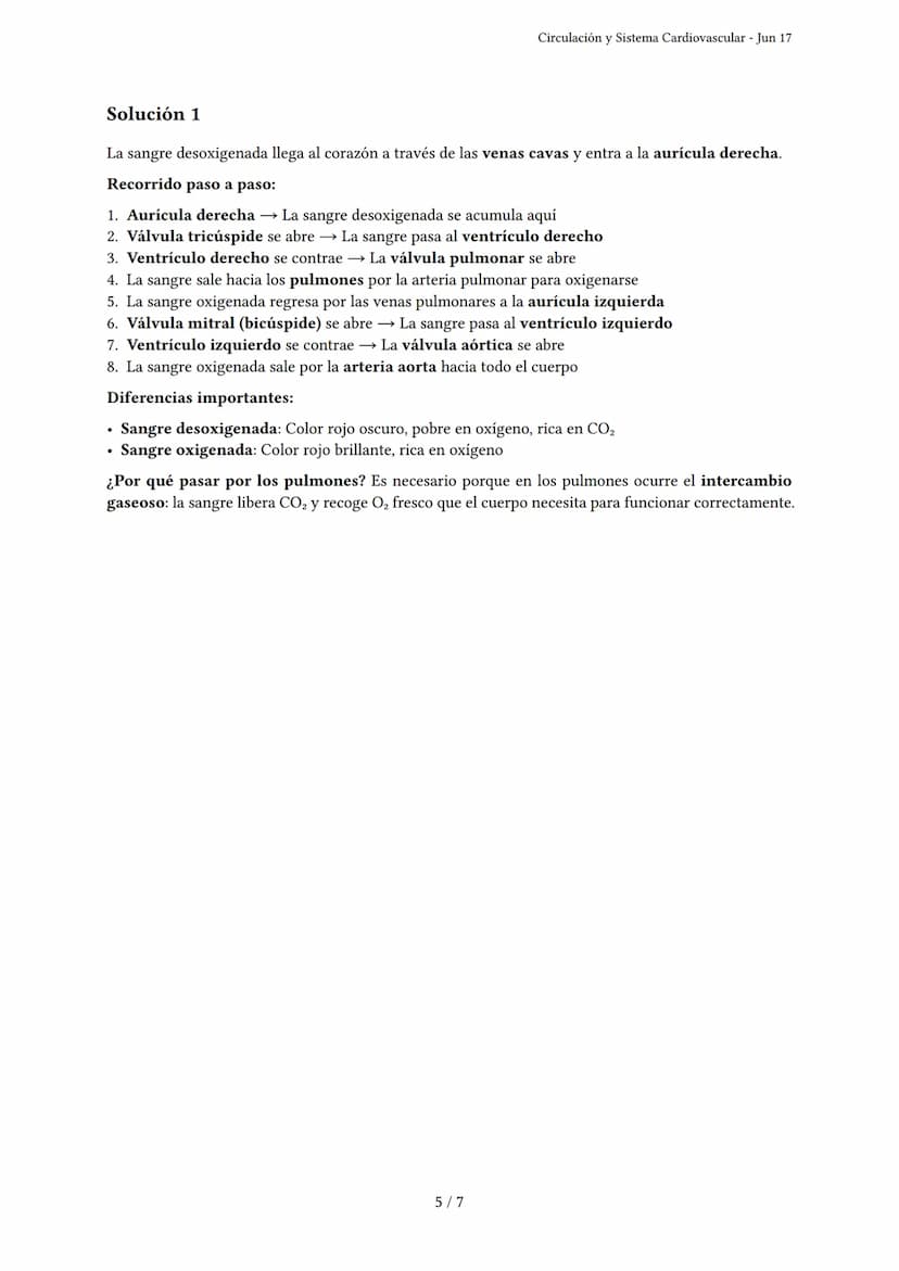 Circulación y Sistema Cardiovascular
Generado por Vania Aisa Severino Igreda - Jun 17
Descripción: Este examen evalúa la comprensión de la c