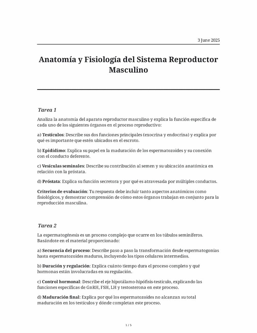 3 June 2025
Anatomía y Fisiología del Sistema Reproductor
Masculino
Tarea 1
Analiza la anatomía del aparato reproductor masculino y explica 