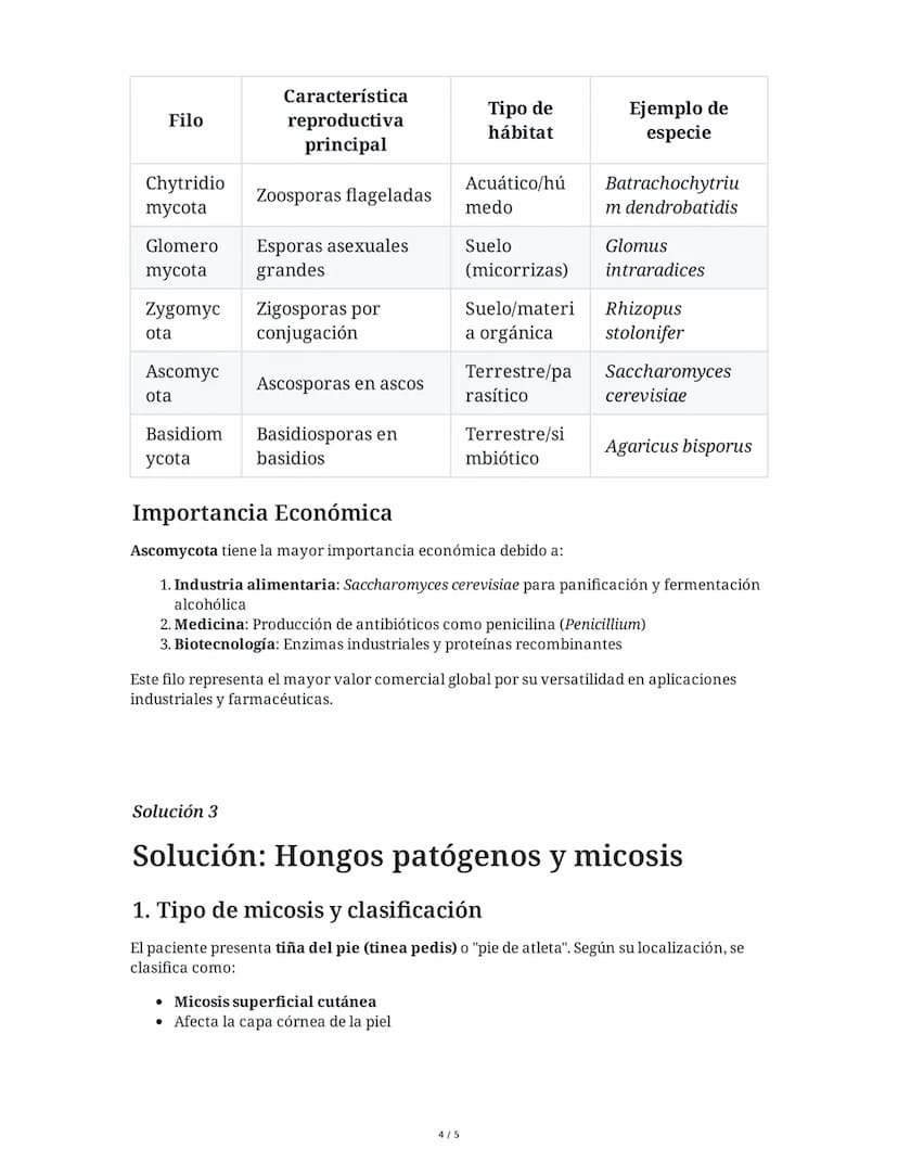 9 June 2025
El Reino Fungi: Características, Clasificación y
Micosis
Tarea 1
Análisis comparativo del Reino Fungi
Explica las principales di