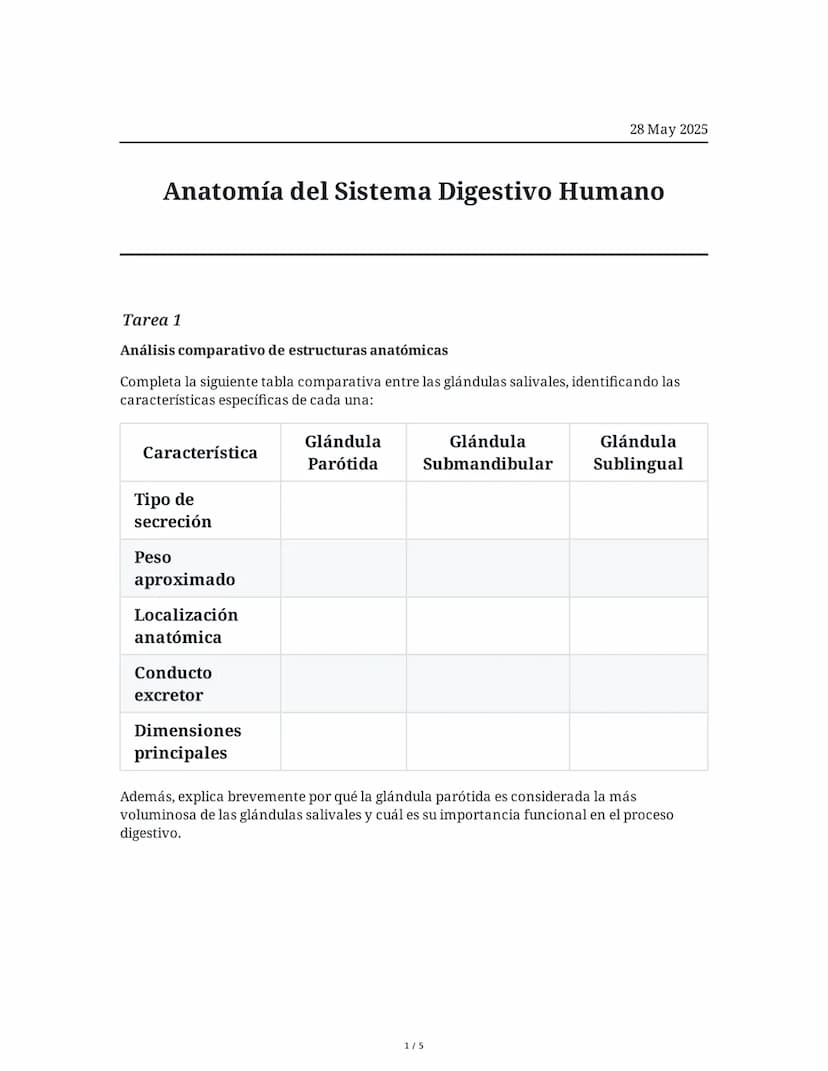 28 May 2025
Anatomía del Sistema Digestivo Humano
Tarea 1
Análisis comparativo de estructuras anatómicas
Completa la siguiente tabla compara