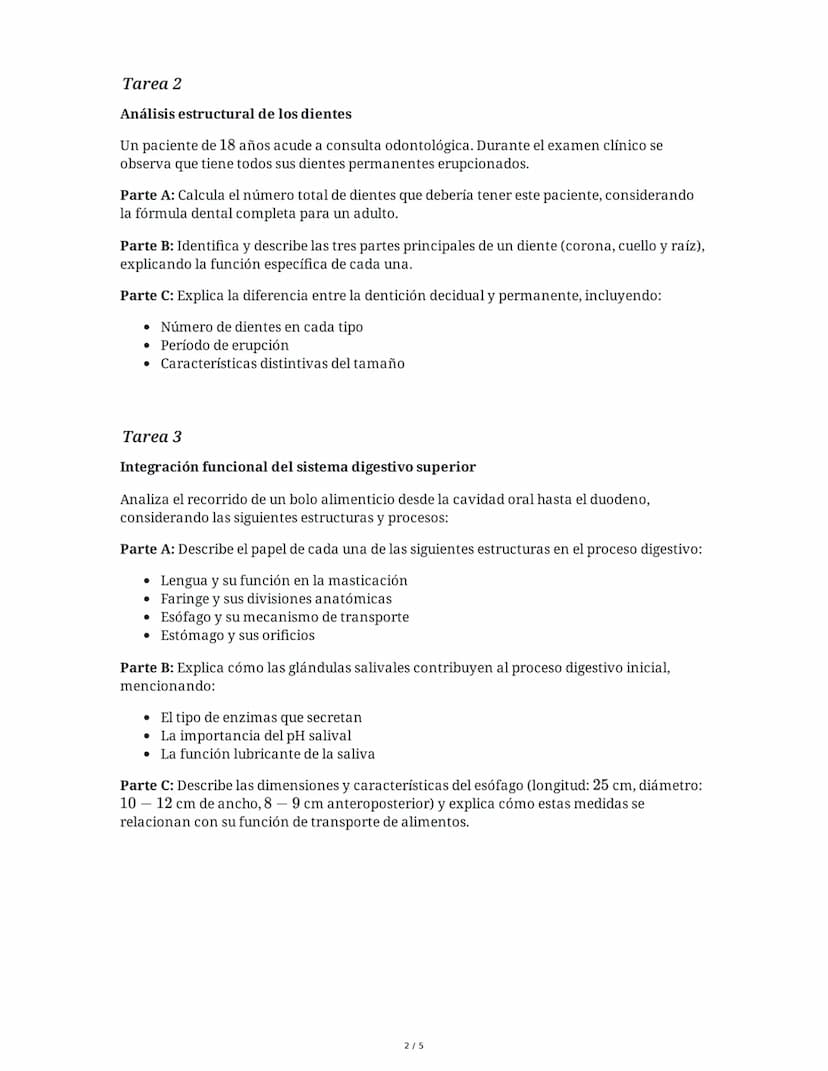 28 May 2025
Anatomía del Sistema Digestivo Humano
Tarea 1
Análisis comparativo de estructuras anatómicas
Completa la siguiente tabla compara