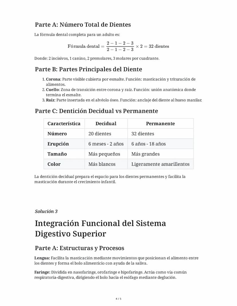 28 May 2025
Anatomía del Sistema Digestivo Humano
Tarea 1
Análisis comparativo de estructuras anatómicas
Completa la siguiente tabla compara