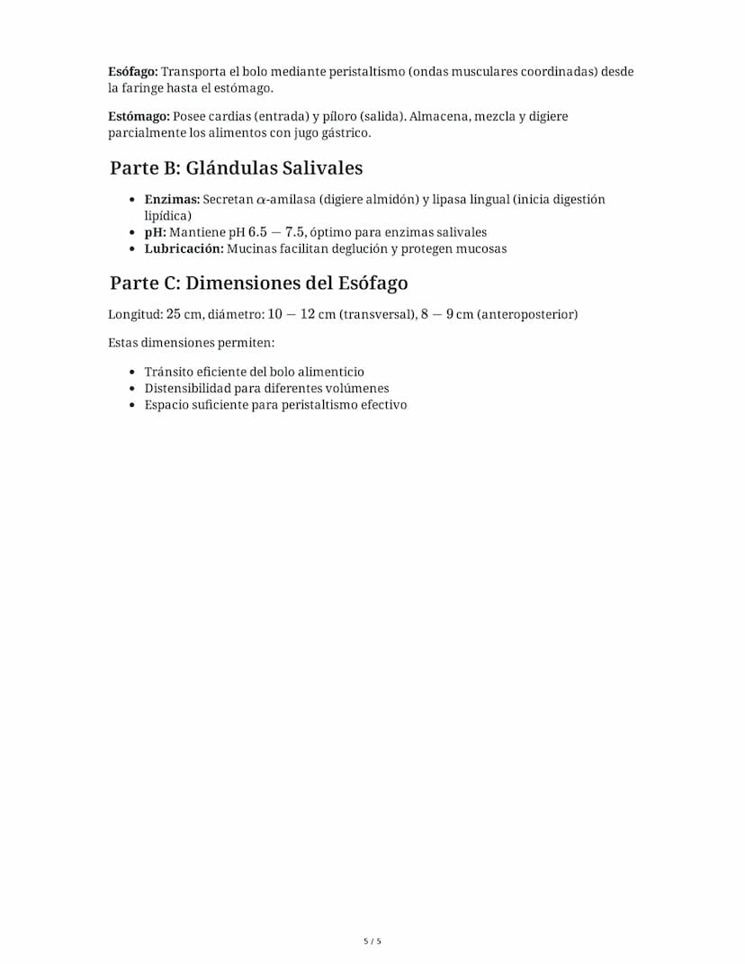 28 May 2025
Anatomía del Sistema Digestivo Humano
Tarea 1
Análisis comparativo de estructuras anatómicas
Completa la siguiente tabla compara