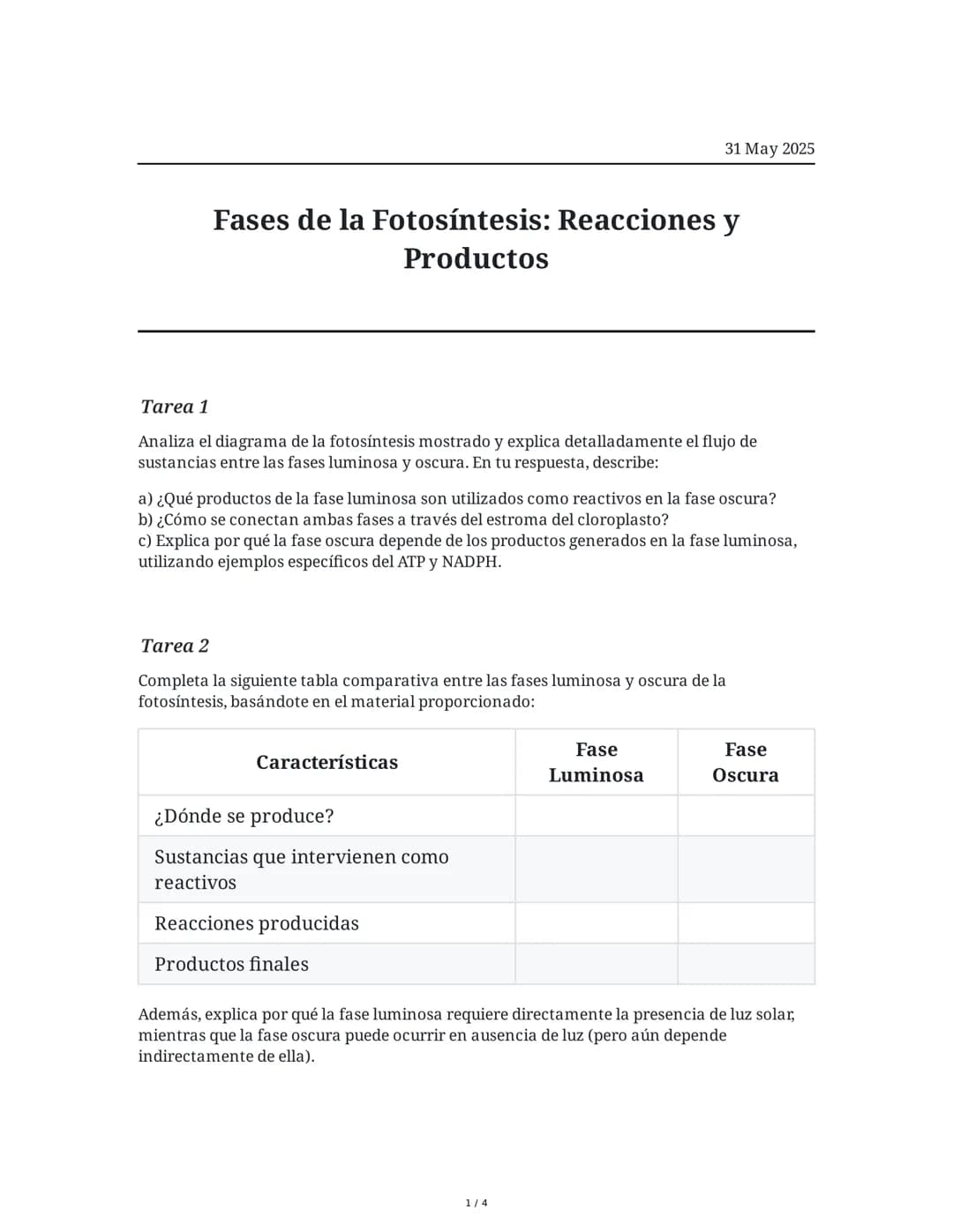 Fases de la Fotosíntesis: Reacciones y Productos