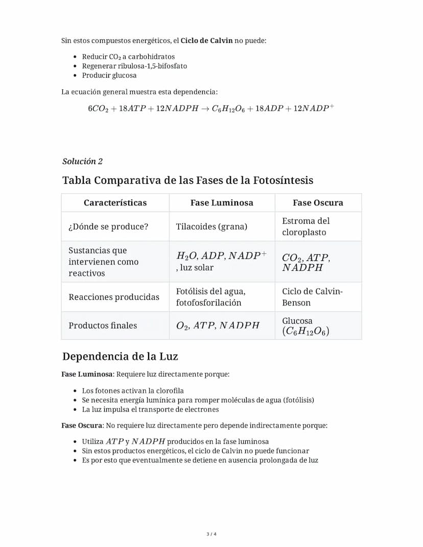 31 May 2025
Fases de la Fotosíntesis: Reacciones y
Productos
Tarea 1
Analiza el diagrama de la fotosíntesis mostrado y explica detalladament