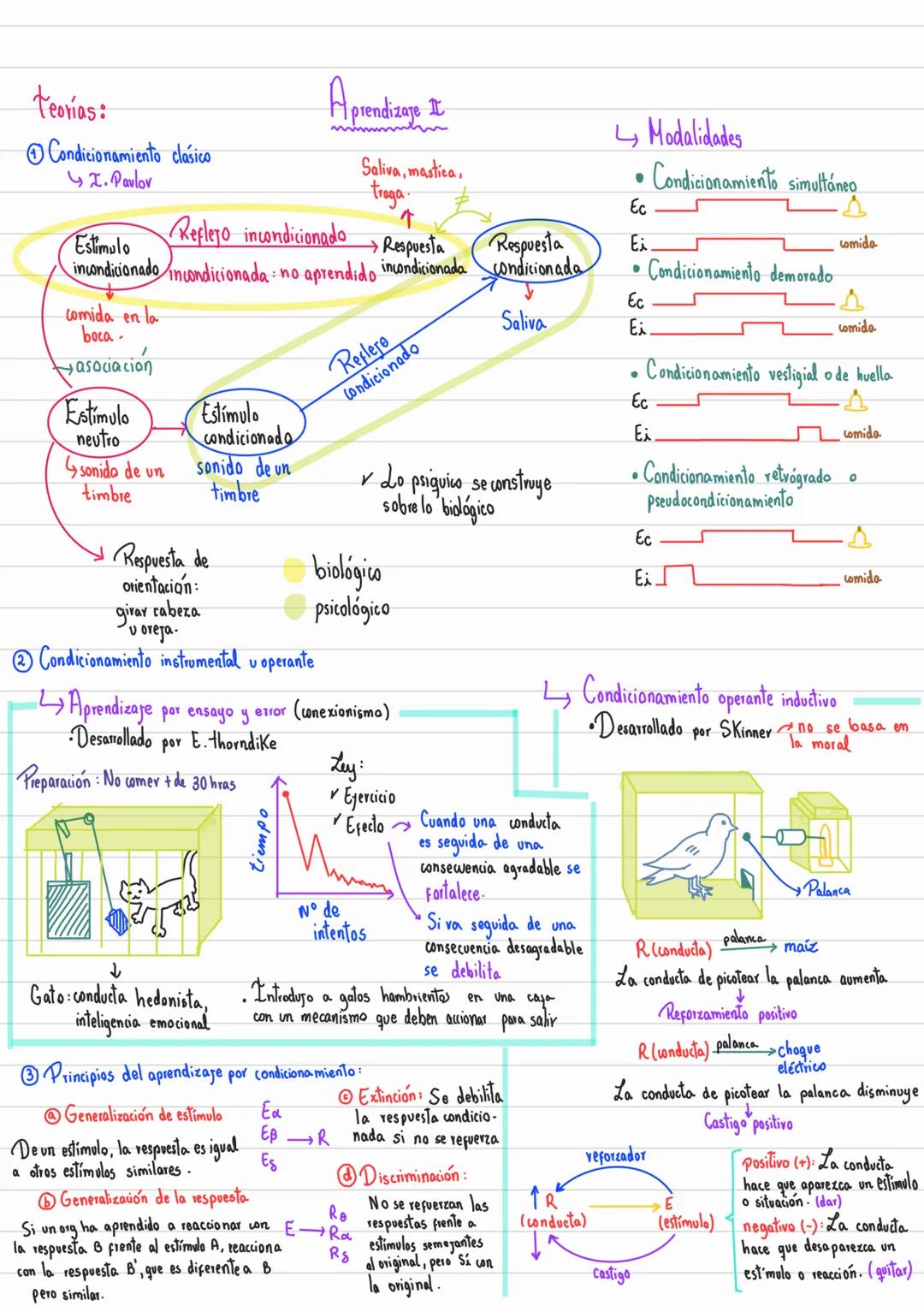 Proceso en el que la experiencia
produce cambios en la conducta de forma
estable o semipermanente.
• Aprendizaje como producto:
Enfoque con