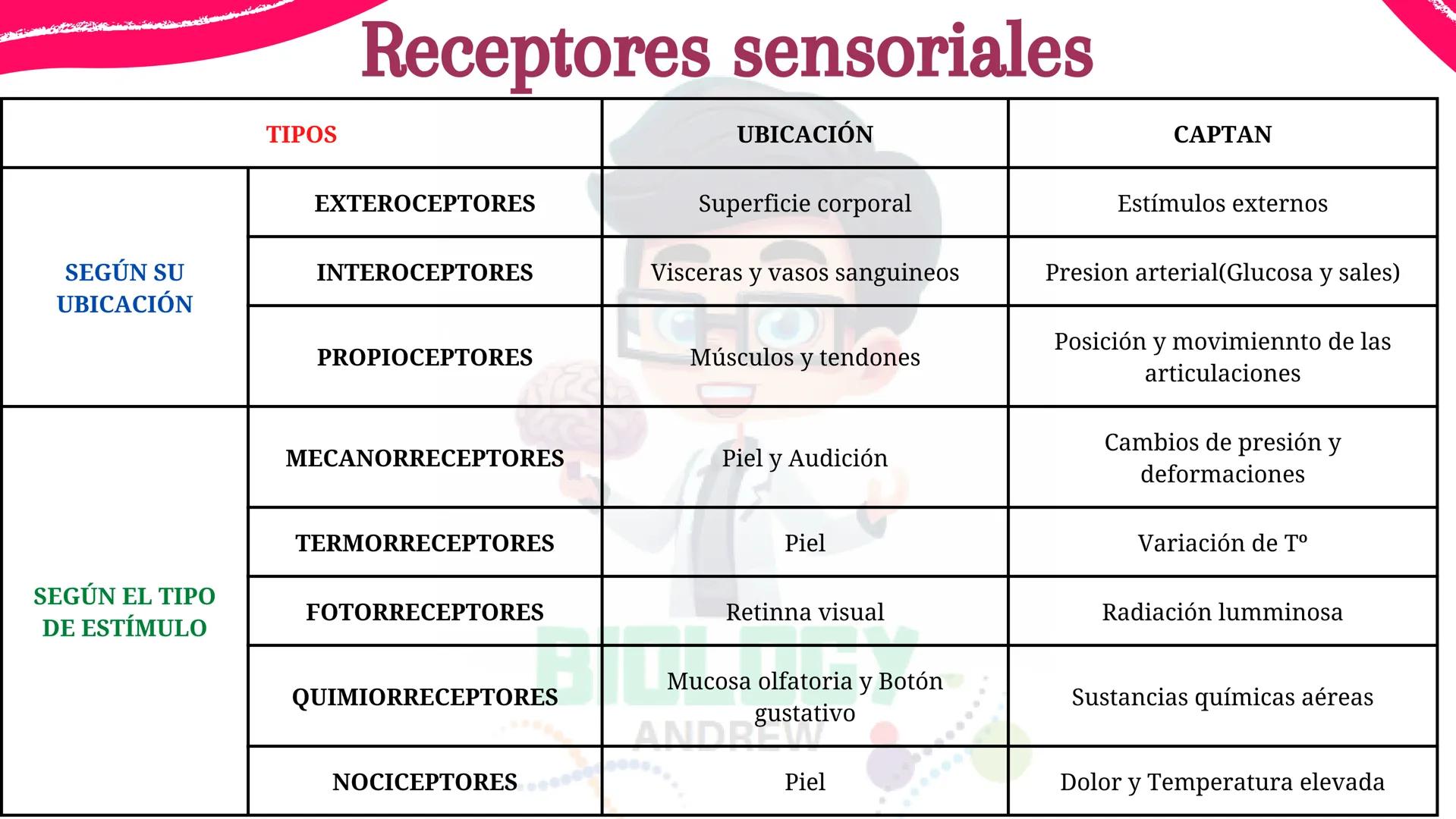 # Sistema nervioso
## Funciones
Se encarga de Controlar todas las funciones
del cuerpo humano, como tambien recibir e
interpretar los estím