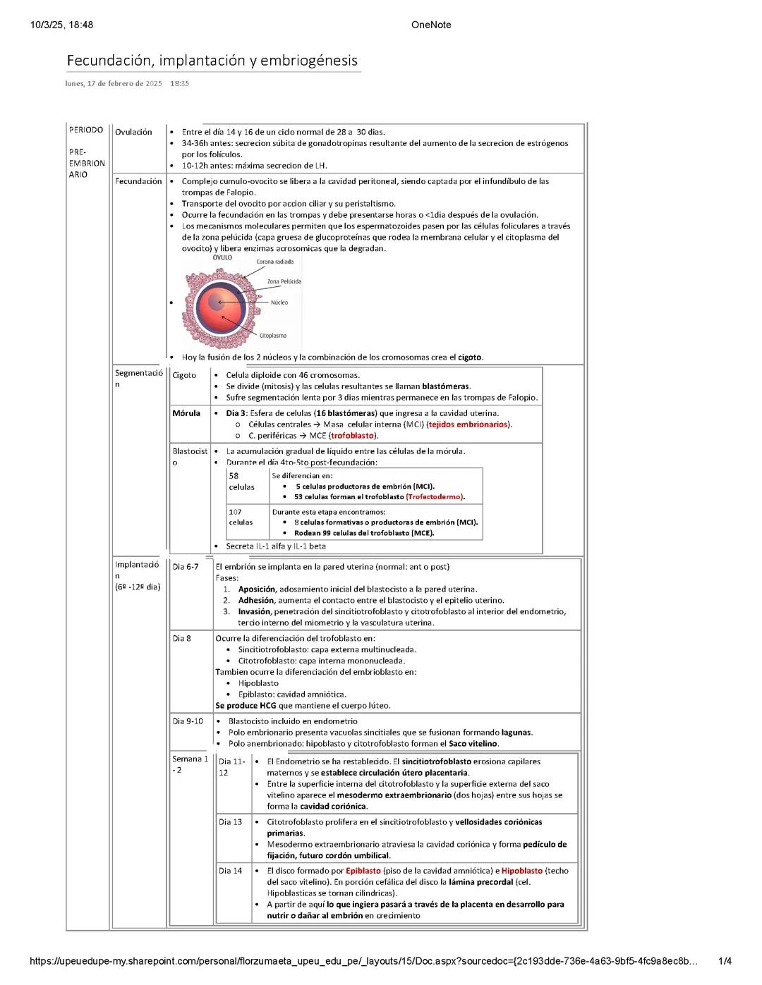 Fecundación, implantación y embriogenesis