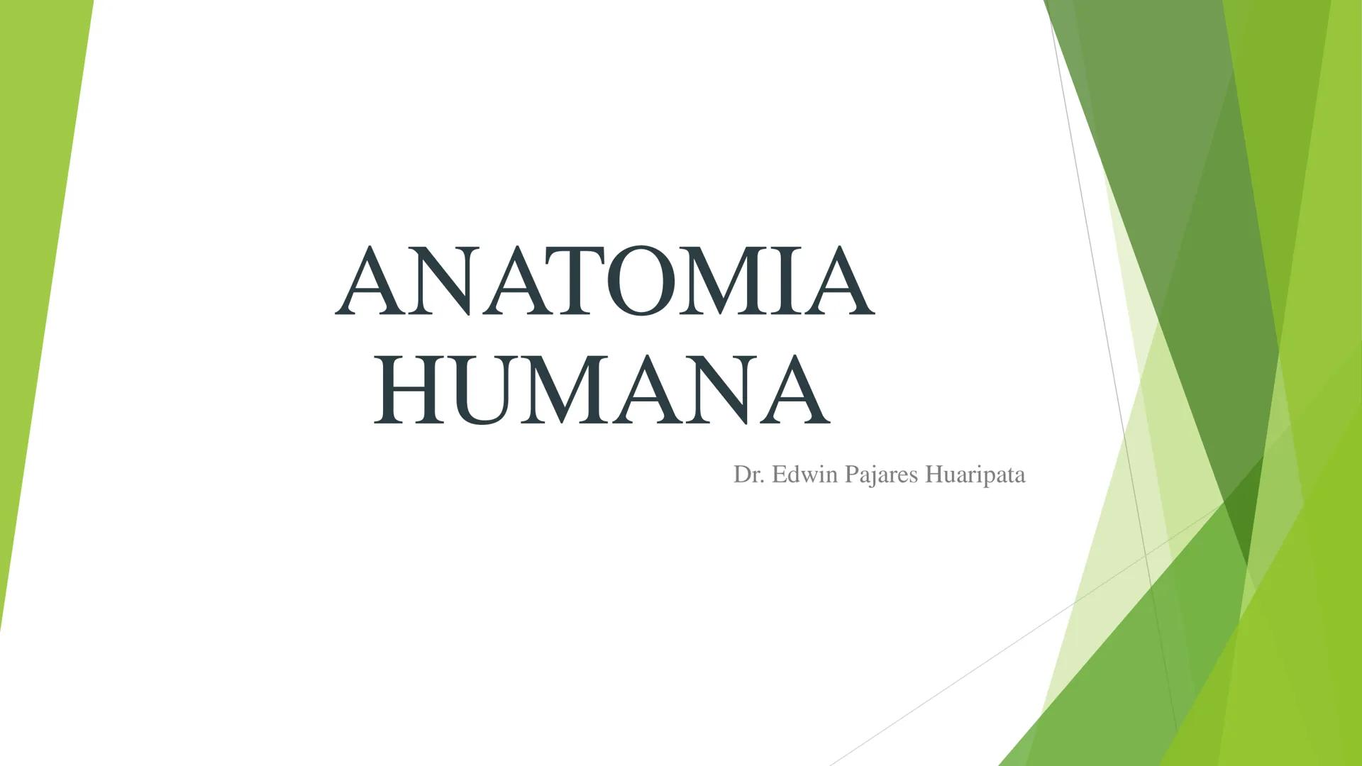 # ANATOMIA
# HUMANA
Dr. Edwin Paiares Huaripata # Huesos del miembro
superior --- OCR Start ---
EI ser humano posee cuatro miembros: dos m