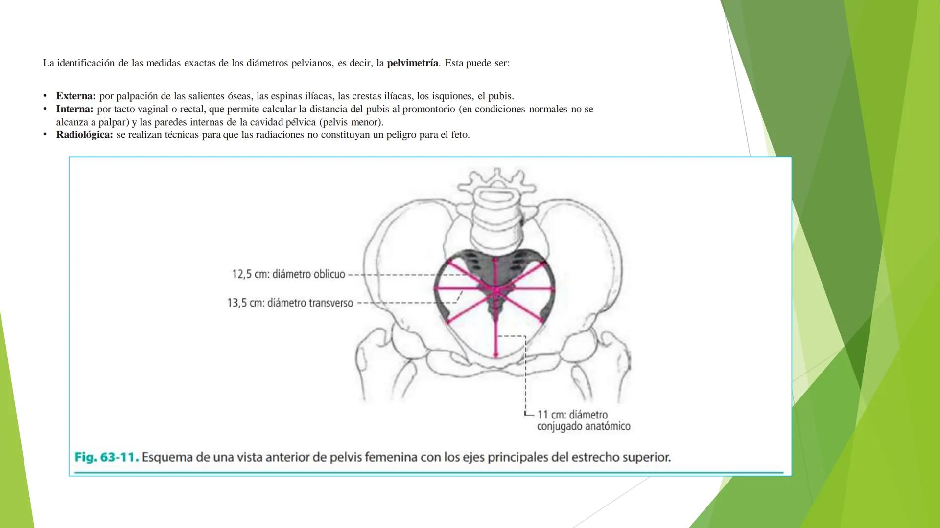 # ANATOMIA
# HUMANA
Dr. Edwin Paiares Huaripata # Huesos del miembro
superior --- OCR Start ---
EI ser humano posee cuatro miembros: dos m