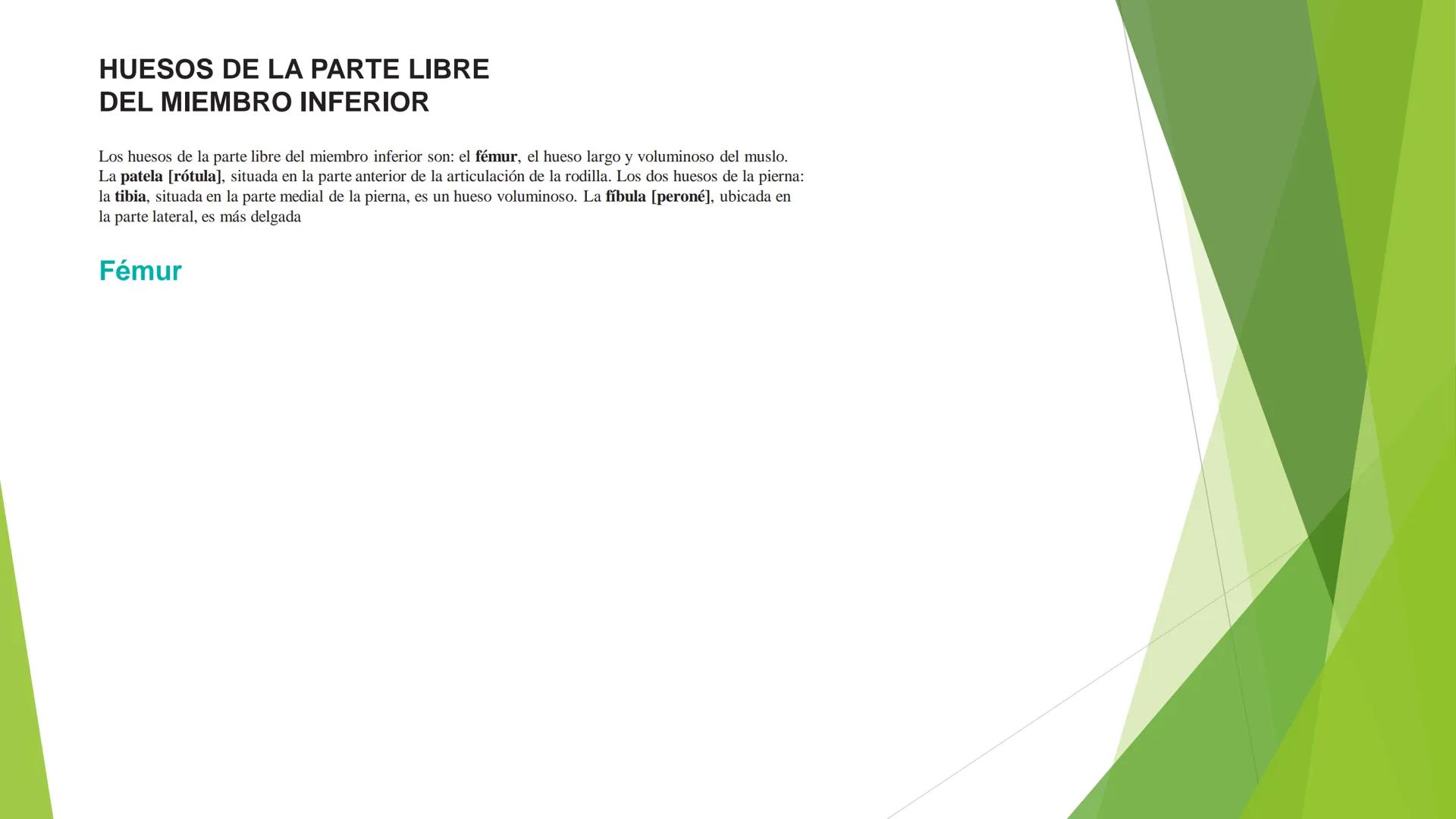 # ANATOMIA
# HUMANA
Dr. Edwin Paiares Huaripata # Huesos del miembro
superior --- OCR Start ---
EI ser humano posee cuatro miembros: dos m