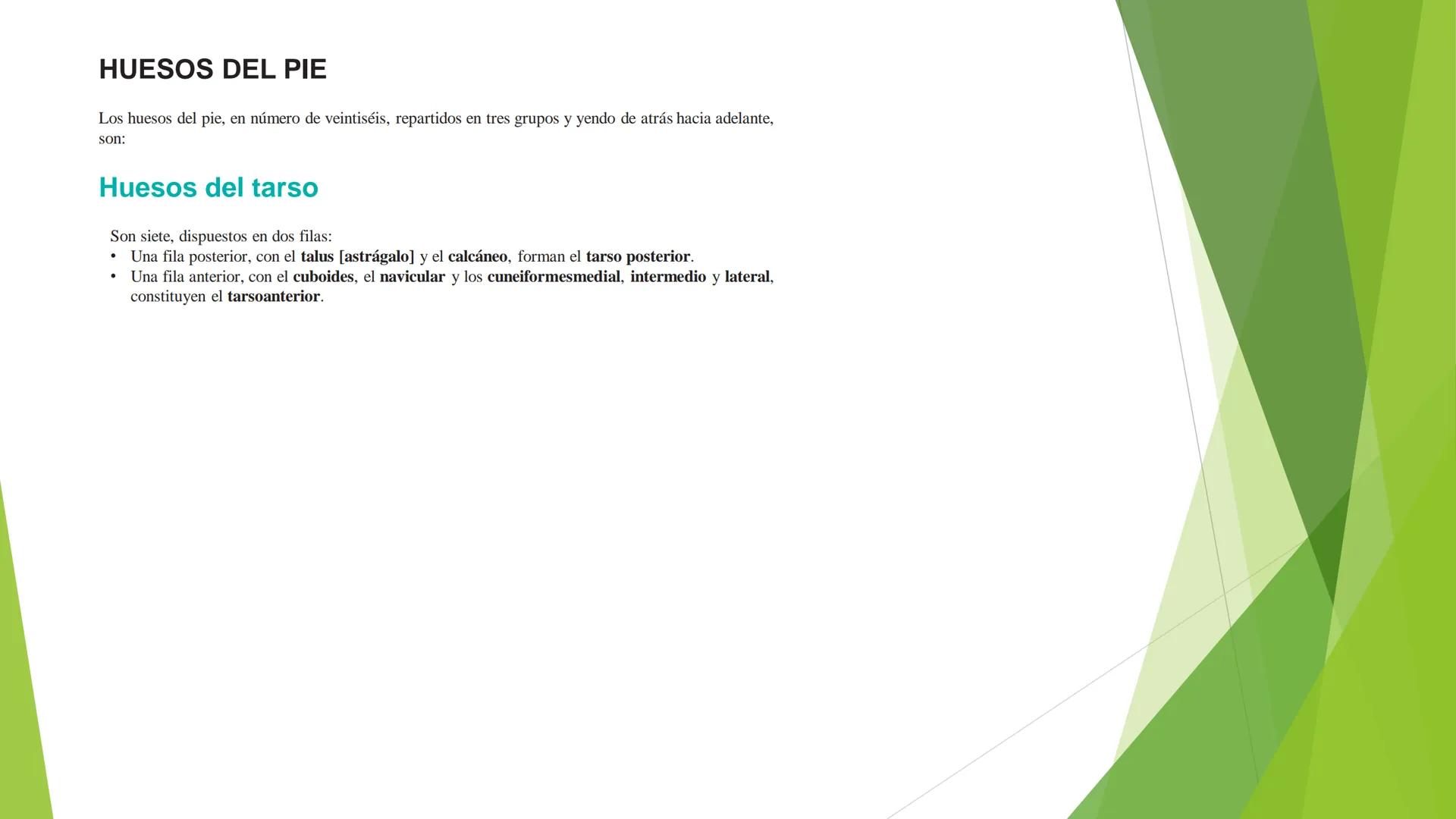 # ANATOMIA
# HUMANA
Dr. Edwin Paiares Huaripata # Huesos del miembro
superior --- OCR Start ---
EI ser humano posee cuatro miembros: dos m
