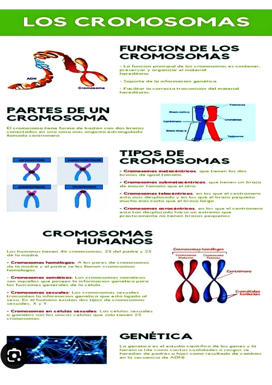 # 1. Genética y herencia
Uno de los precursores del estudio de la genética fue Mendel, quien llevó
las bases de la genética moderna. El mon