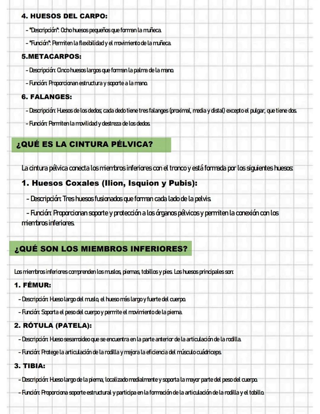 SESIÓN N° 05
HUESOS DE LA CINTURA ESCAPULAR
Y LOS MIEMBROS SUPERIORES
¿QUÉ ES LA CINTURA ESCAPULAR?
La cintura escapular, también conocida c