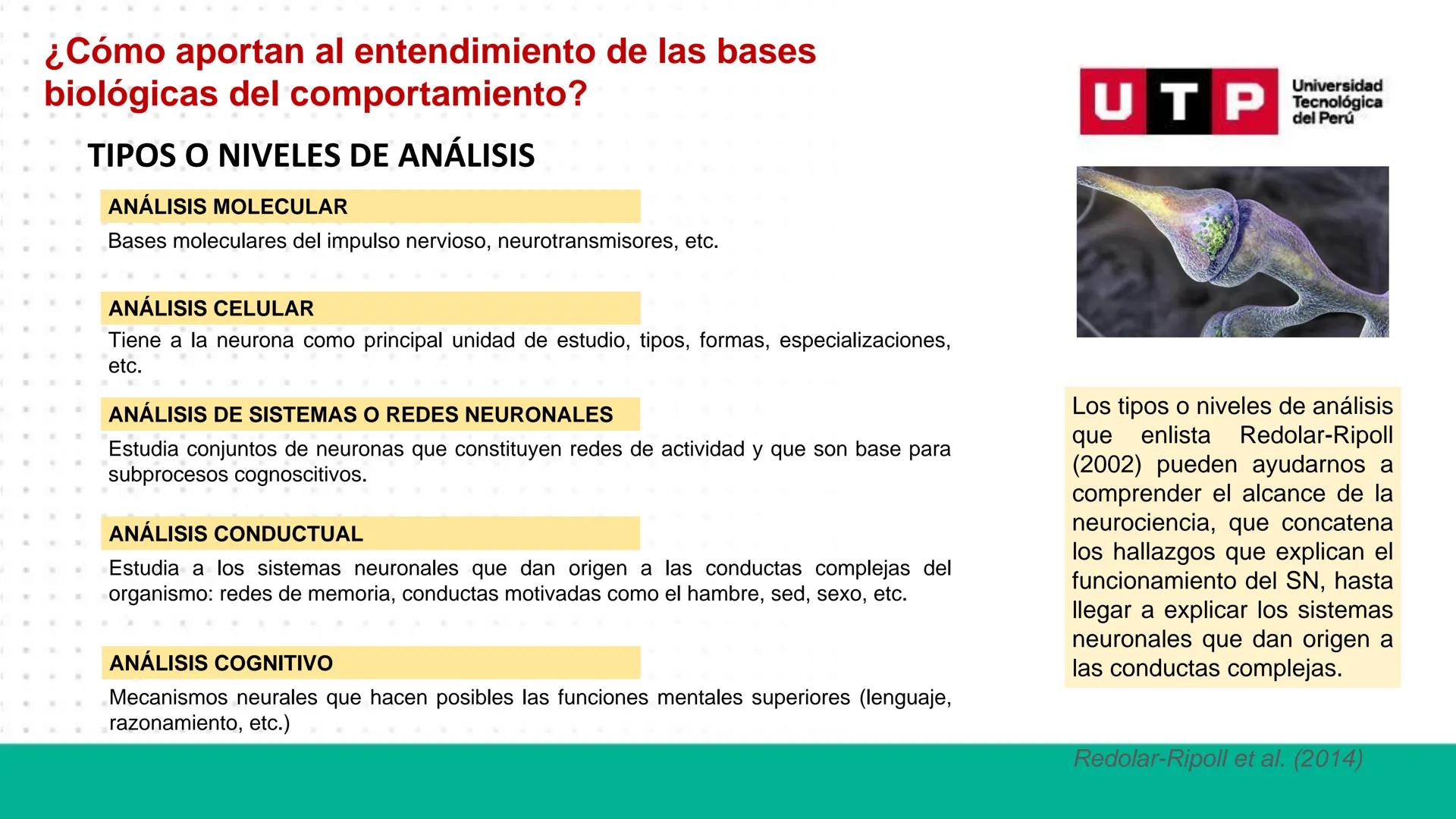 # Bases biológicas del
comportamiento
Sesión 01: Historia de las neurociencias
Universidad
UTP Tecnológica
del Perú # Normas de convivenci