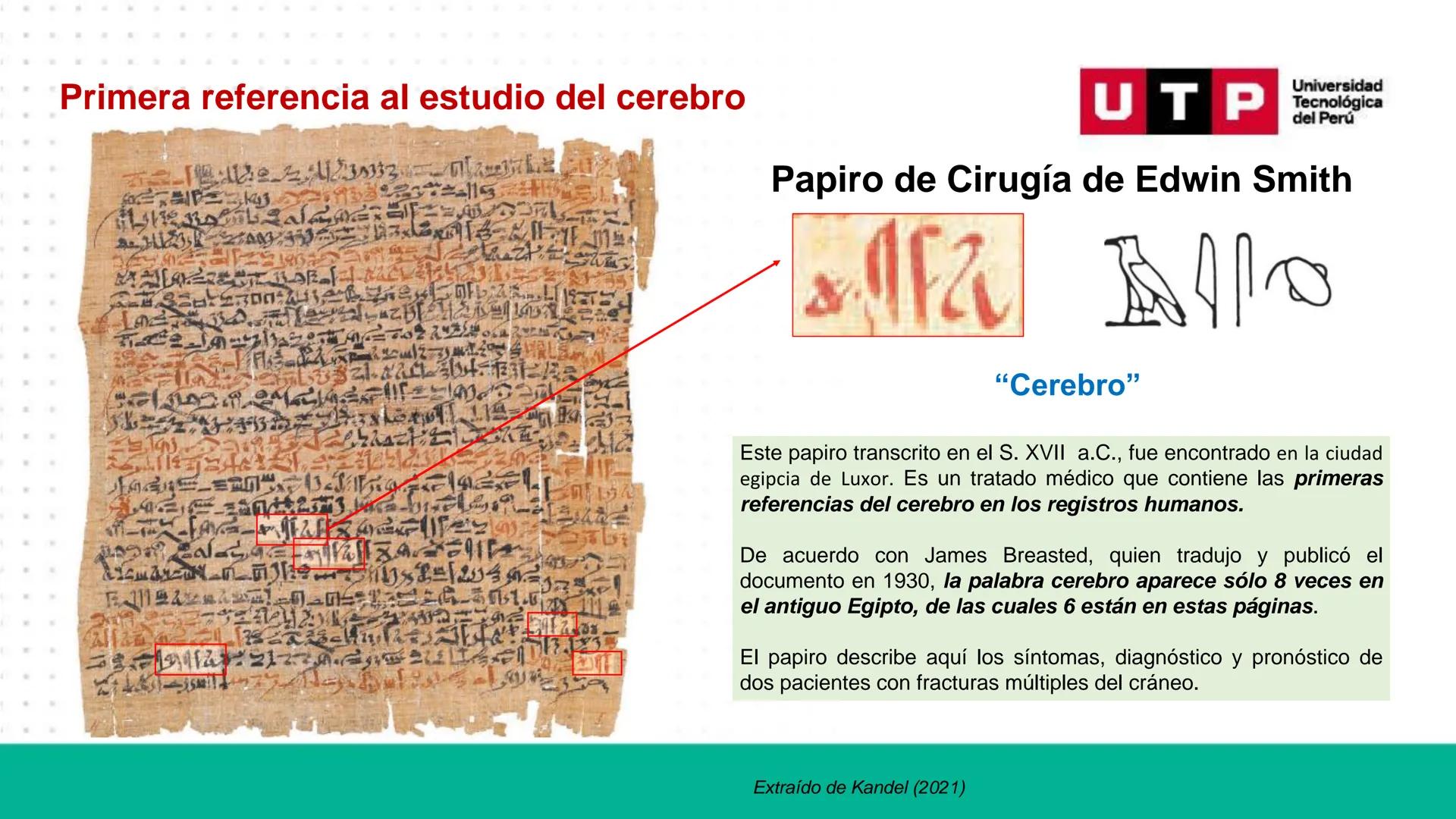 # Bases biológicas del
comportamiento
Sesión 01: Historia de las neurociencias
Universidad
UTP Tecnológica
del Perú # Normas de convivenci