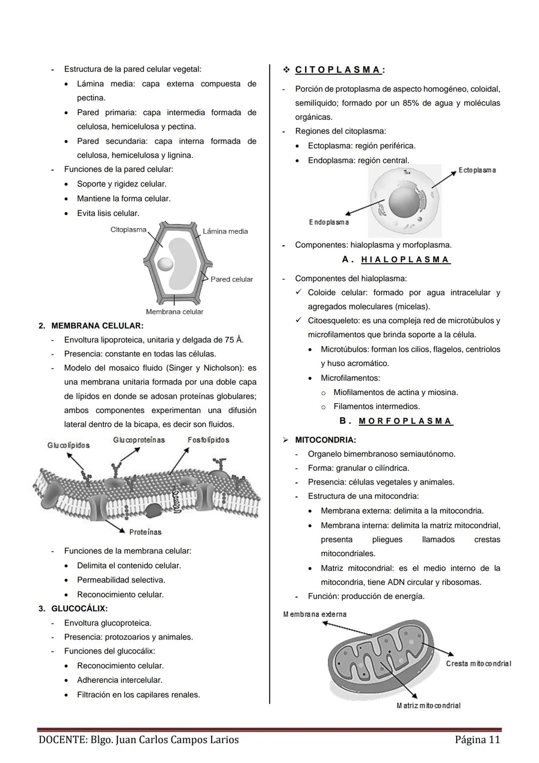GENERALIDADES
MÉTODO CIENTÍFICO
- Concepto: es un procedimiento válido y confiable, que
utilizan los investigadores para descubrir las ley