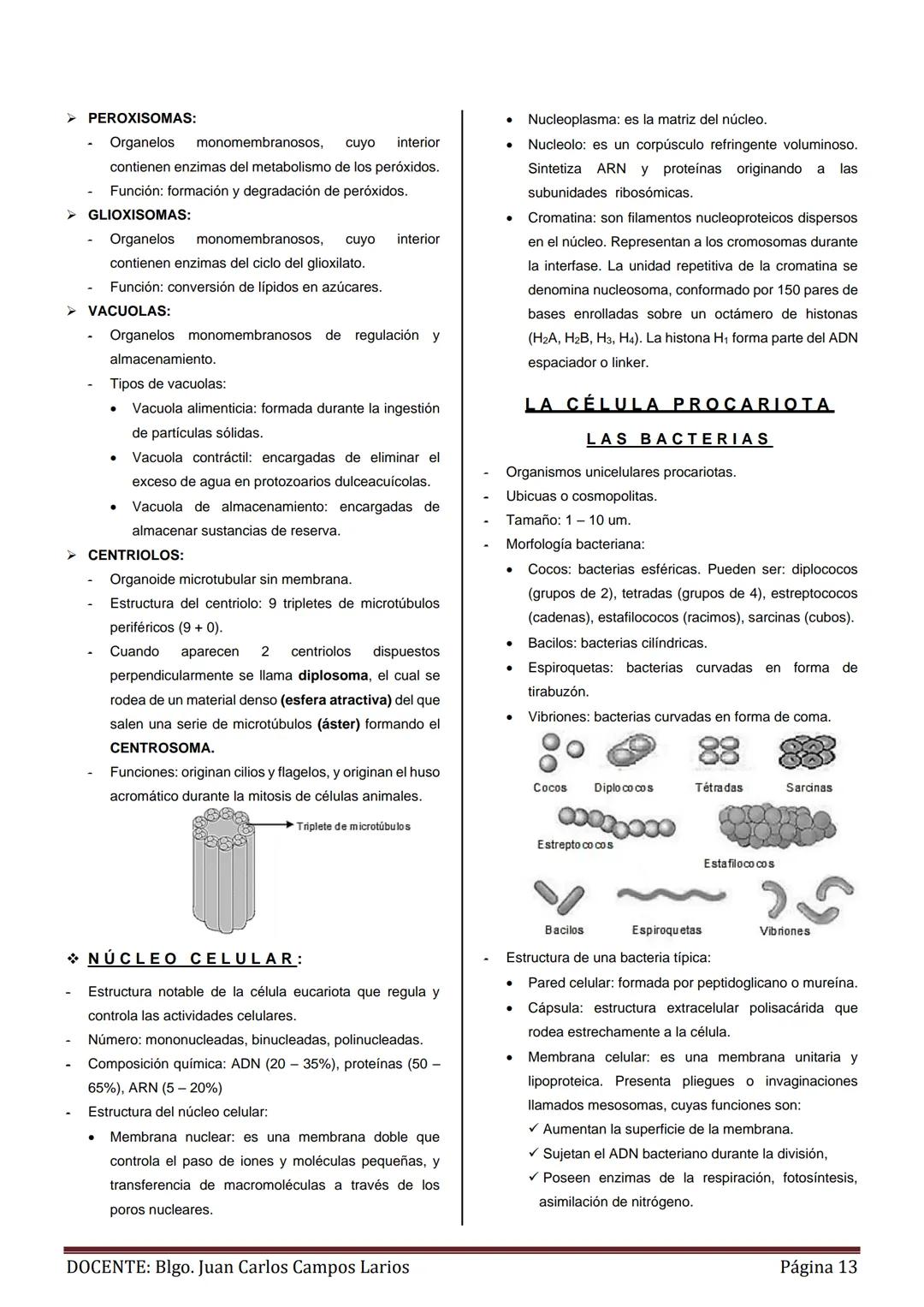 GENERALIDADES
MÉTODO CIENTÍFICO
- Concepto: es un procedimiento válido y confiable, que
utilizan los investigadores para descubrir las ley