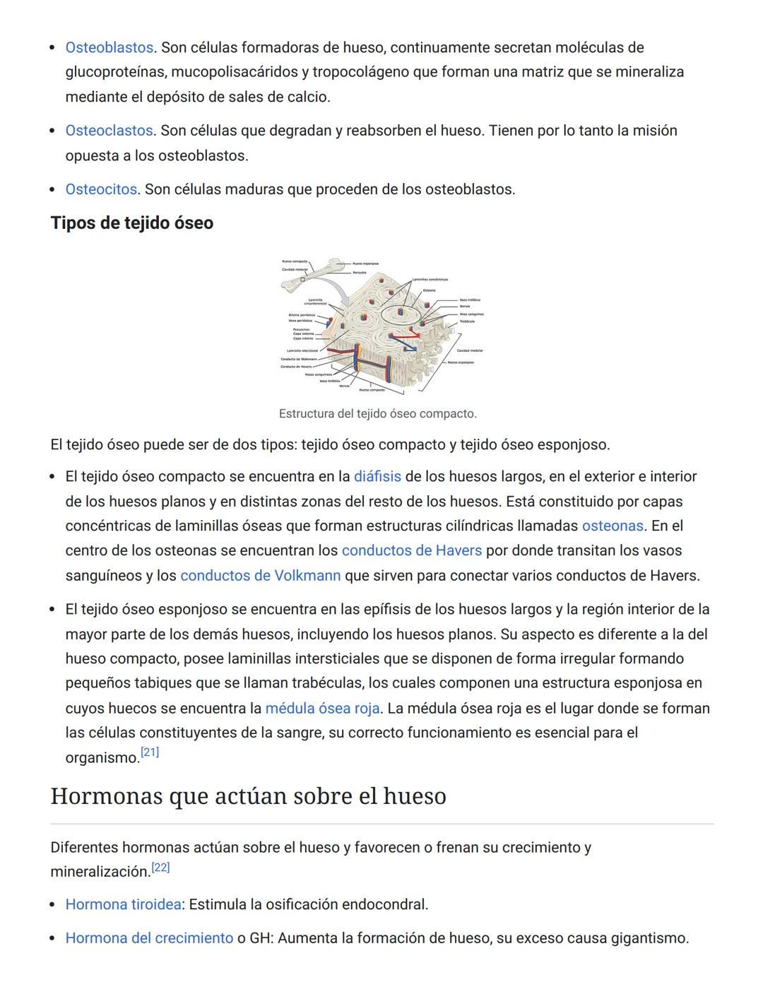 # 3. Protección: El esqueleto actúa en muchos casos como protección de los órganos internos. De esta forma los huesos que forman el cráneo p