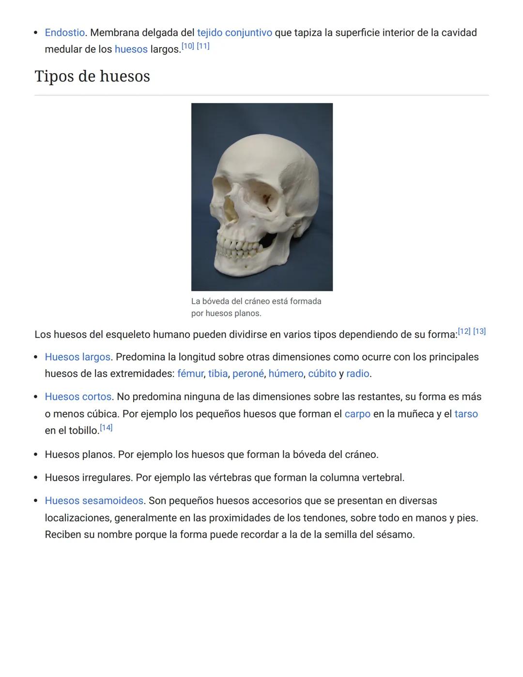 # 3. Protección: El esqueleto actúa en muchos casos como protección de los órganos internos. De esta forma los huesos que forman el cráneo p