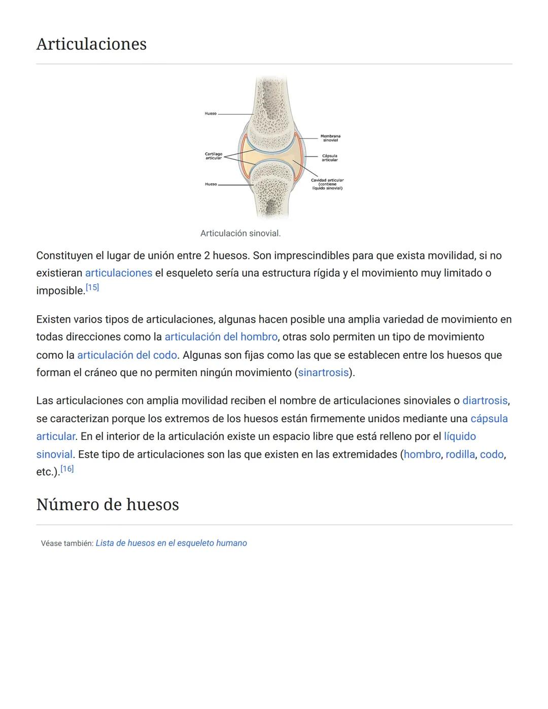 # 3. Protección: El esqueleto actúa en muchos casos como protección de los órganos internos. De esta forma los huesos que forman el cráneo p