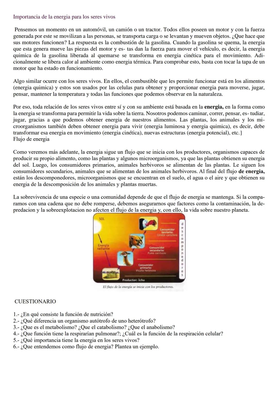 # ¿Cómo se cumplen las funciones de nutrición y respiración?
## La función de nutrición
La energía que obtiene un animal para moverse, cam