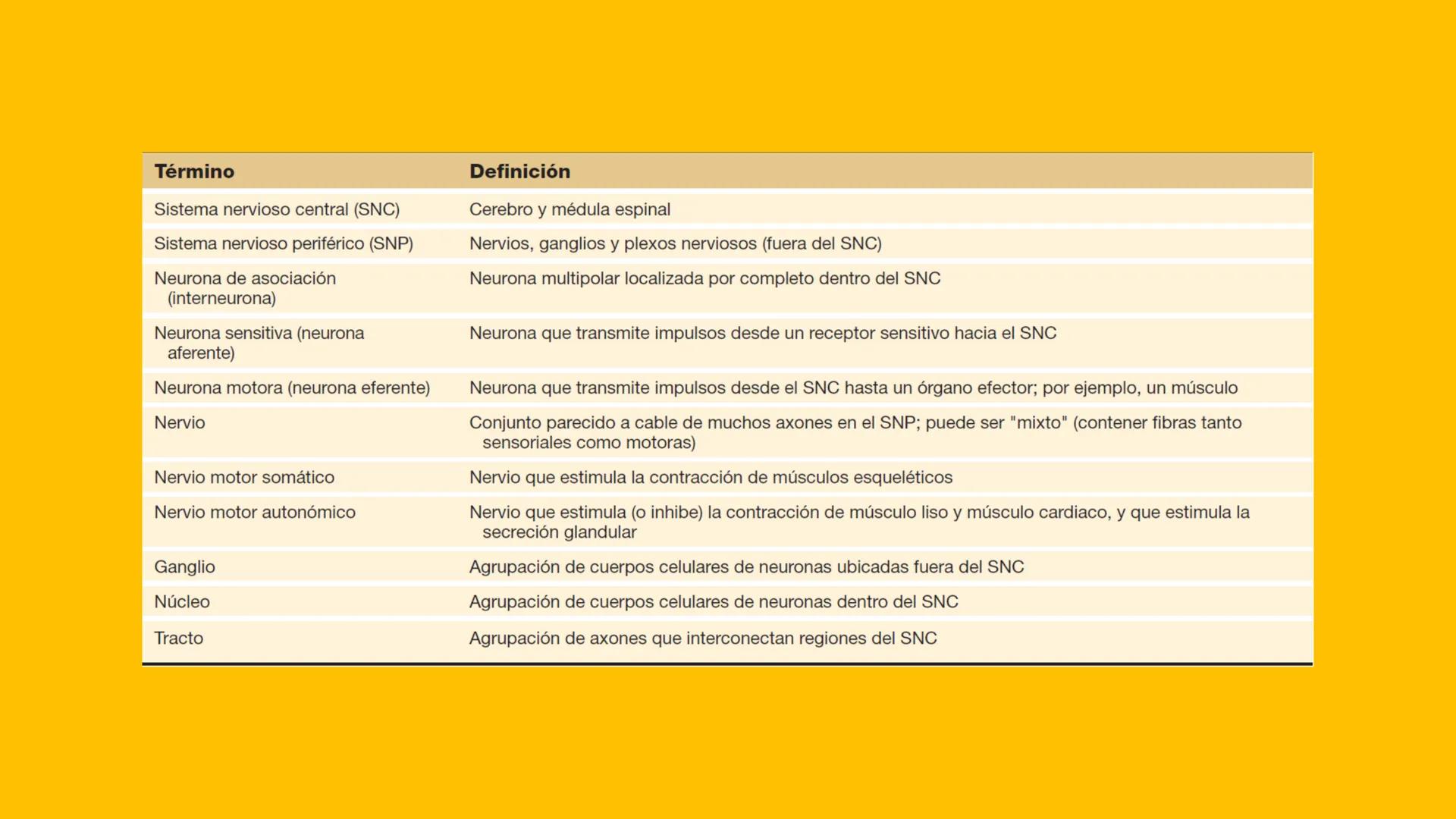 # UPN
UNIVERSIDAD
PRIVADA
DEL NORTE ↑
CURSO: PRÁCTICAS
EN FISIOTERAPIA V
Lic. JEAN PIERRE VALDIVIA LORO
TERAPEUTA FÍSICO
Especialista en