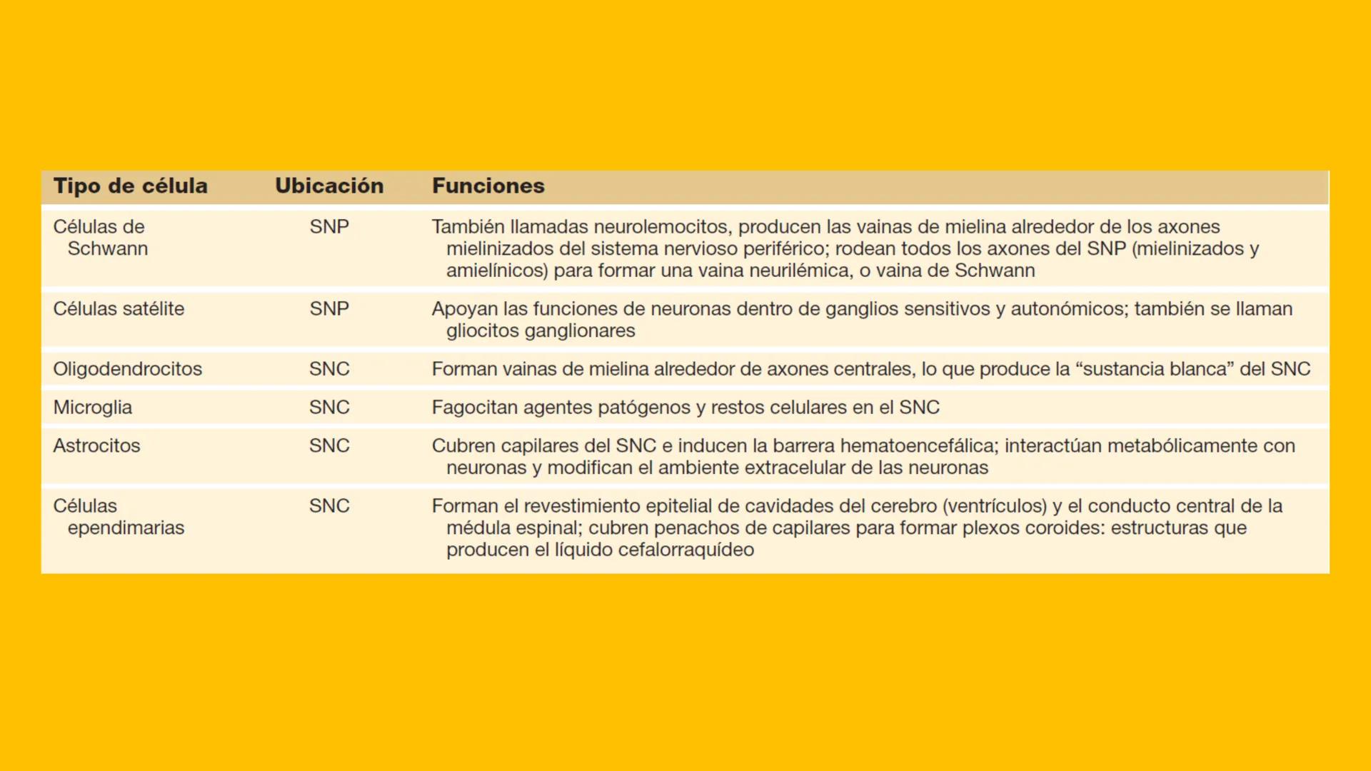 # UPN
UNIVERSIDAD
PRIVADA
DEL NORTE ↑
CURSO: PRÁCTICAS
EN FISIOTERAPIA V
Lic. JEAN PIERRE VALDIVIA LORO
TERAPEUTA FÍSICO
Especialista en