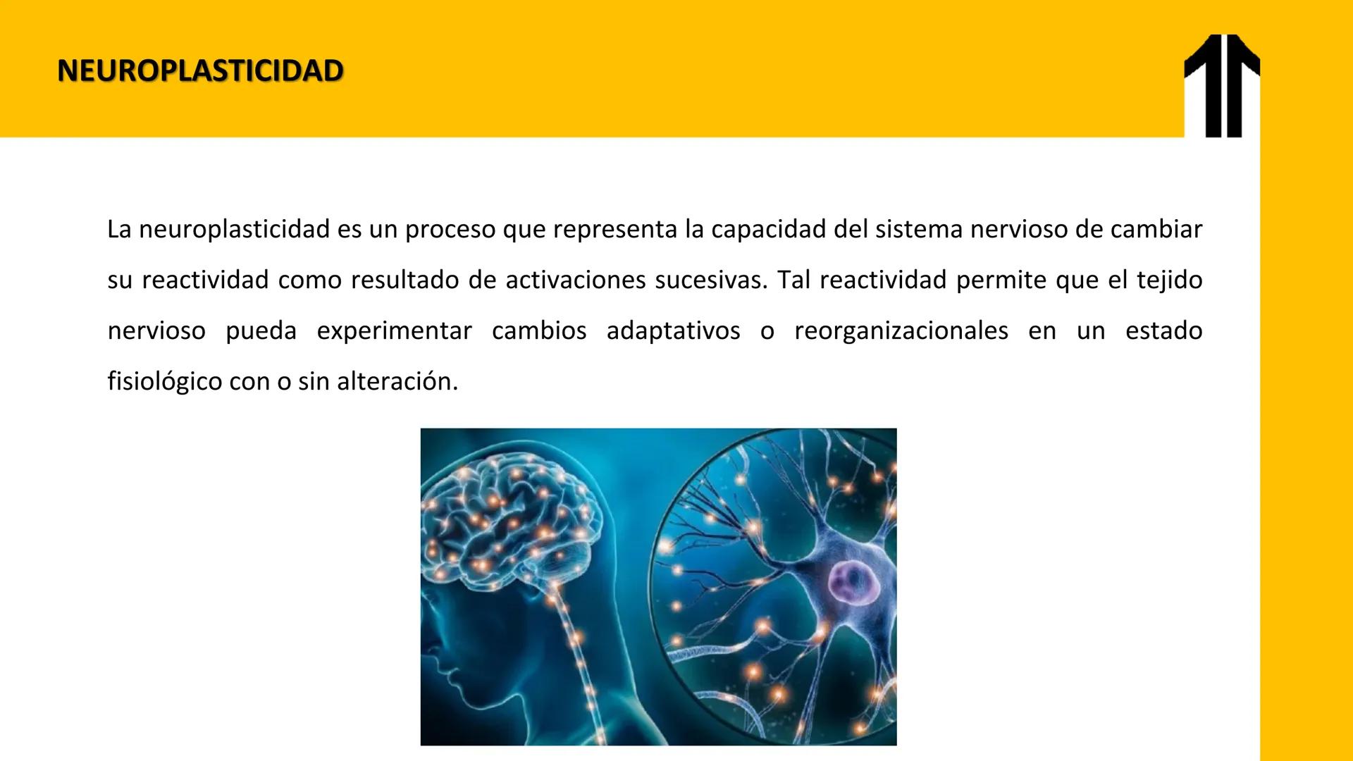 # UPN
UNIVERSIDAD
PRIVADA
DEL NORTE ↑
CURSO: PRÁCTICAS
EN FISIOTERAPIA V
Lic. JEAN PIERRE VALDIVIA LORO
TERAPEUTA FÍSICO
Especialista en