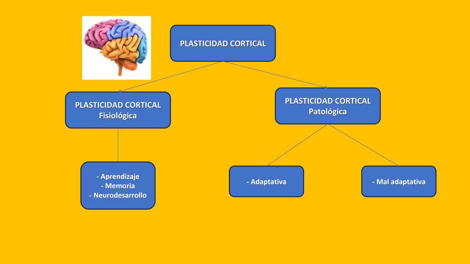 # UPN
UNIVERSIDAD
PRIVADA
DEL NORTE ↑
CURSO: PRÁCTICAS
EN FISIOTERAPIA V
Lic. JEAN PIERRE VALDIVIA LORO
TERAPEUTA FÍSICO
Especialista en