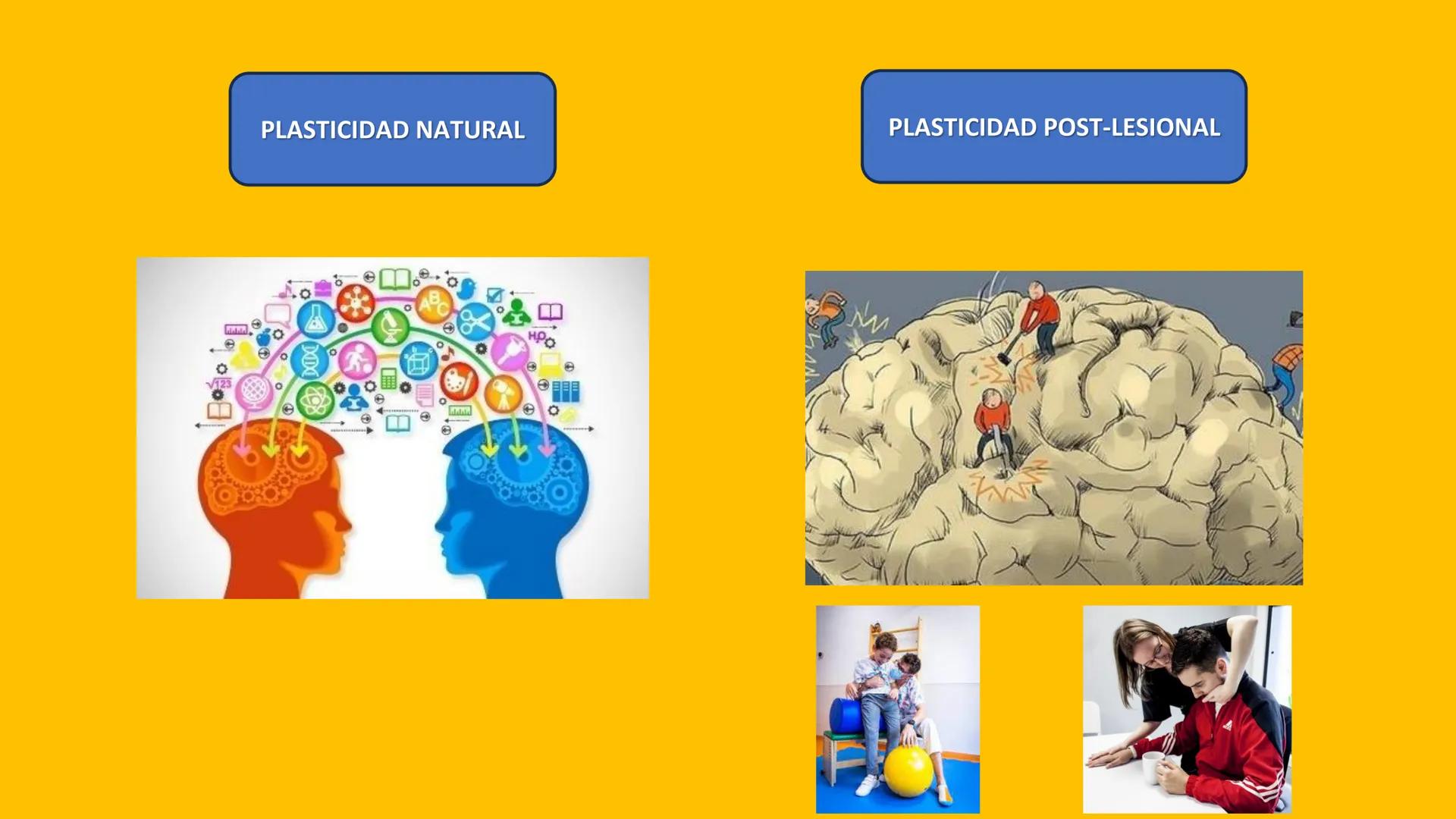 # UPN
UNIVERSIDAD
PRIVADA
DEL NORTE ↑
CURSO: PRÁCTICAS
EN FISIOTERAPIA V
Lic. JEAN PIERRE VALDIVIA LORO
TERAPEUTA FÍSICO
Especialista en