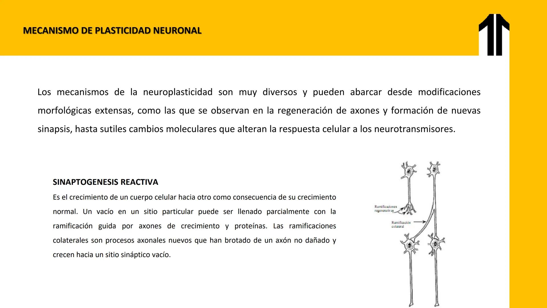 # UPN
UNIVERSIDAD
PRIVADA
DEL NORTE ↑
CURSO: PRÁCTICAS
EN FISIOTERAPIA V
Lic. JEAN PIERRE VALDIVIA LORO
TERAPEUTA FÍSICO
Especialista en