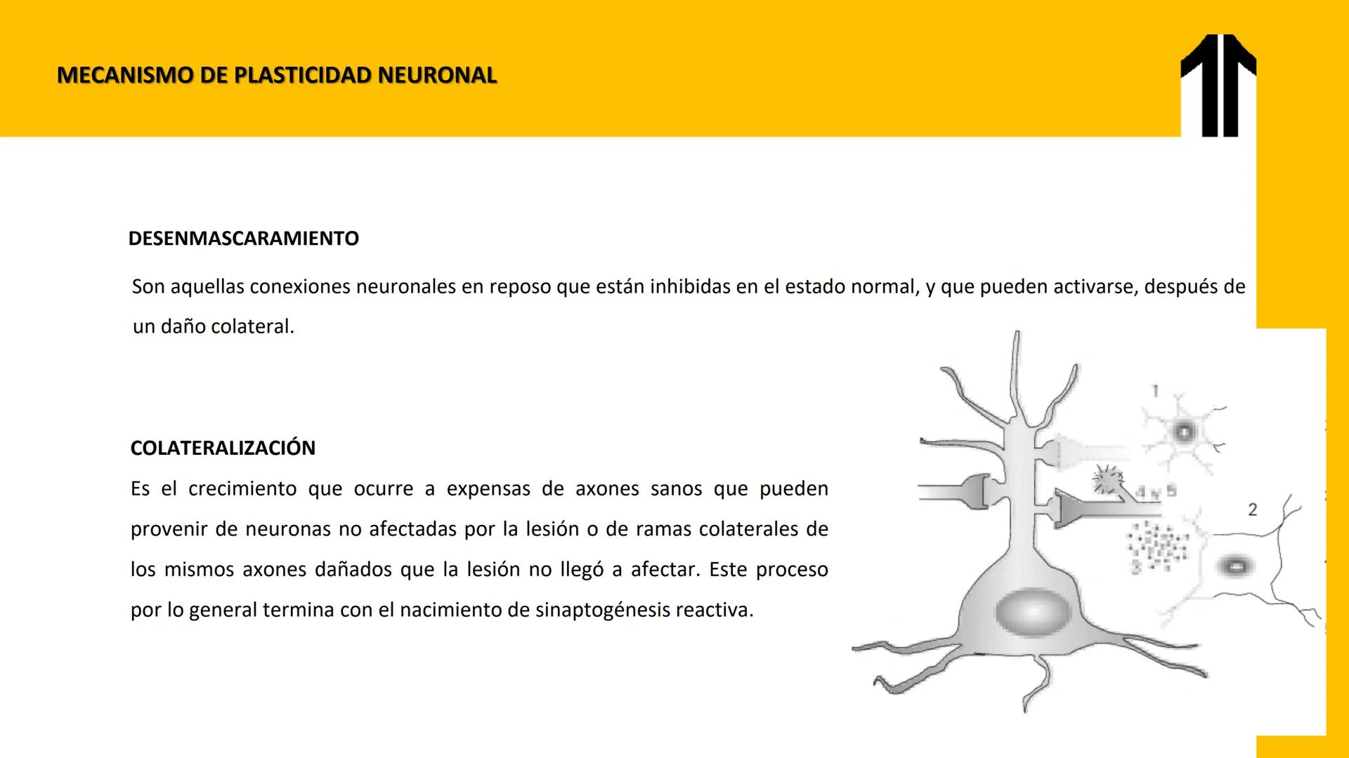 # UPN
UNIVERSIDAD
PRIVADA
DEL NORTE ↑
CURSO: PRÁCTICAS
EN FISIOTERAPIA V
Lic. JEAN PIERRE VALDIVIA LORO
TERAPEUTA FÍSICO
Especialista en