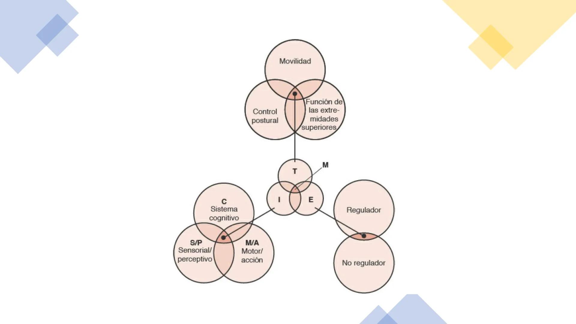 # UPN
UNIVERSIDAD
PRIVADA
DEL NORTE ↑
CURSO: PRÁCTICAS
EN FISIOTERAPIA V
Lic. JEAN PIERRE VALDIVIA LORO
TERAPEUTA FÍSICO
Especialista en