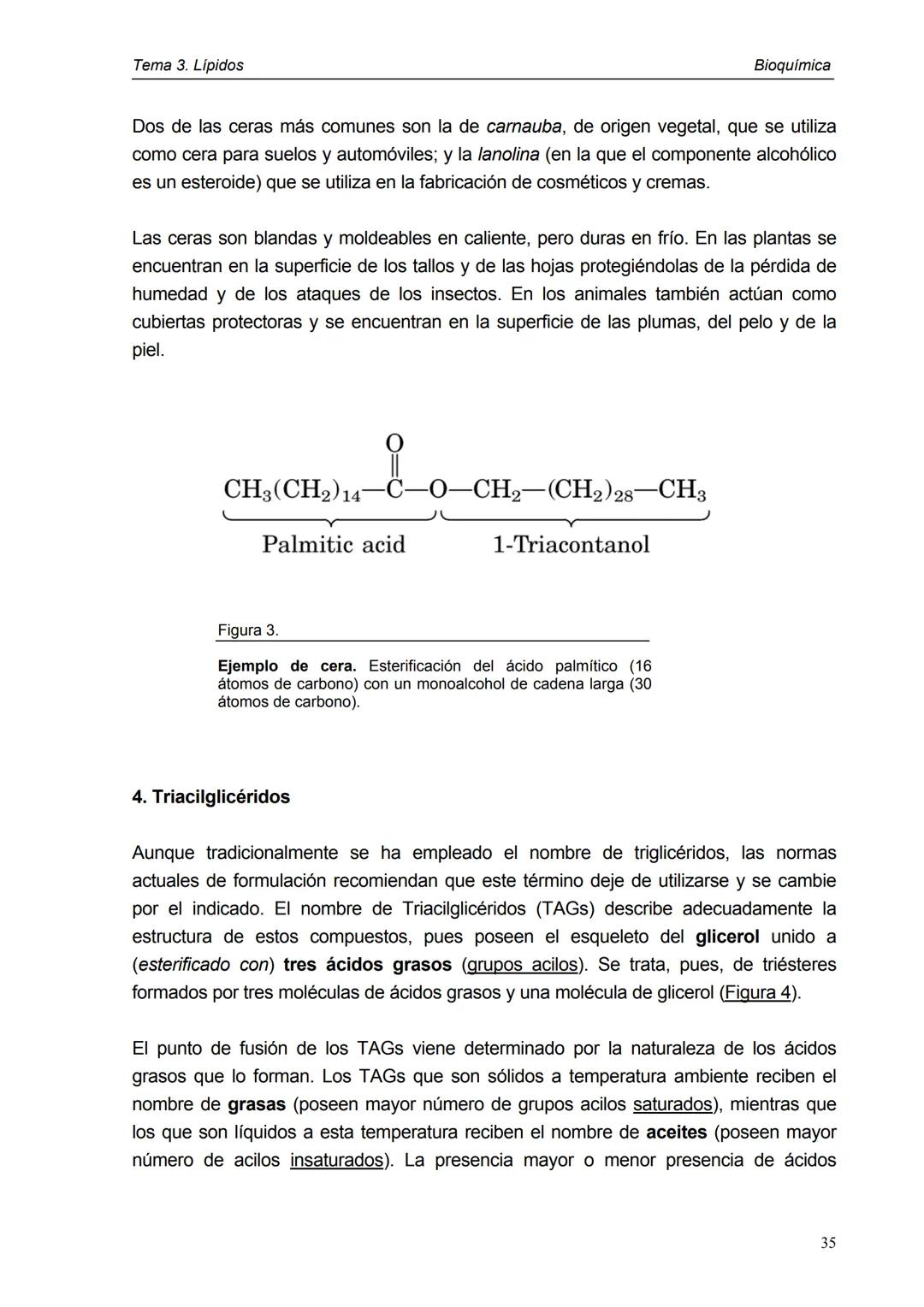 Tema 3. Lípidos
1. Introducción y clasificación
2. Acidos grasos
3. Ceras
4. Triacilglicéridos
5. Fosfoglicéridos
6. Esfigolípidos
7. Lípid