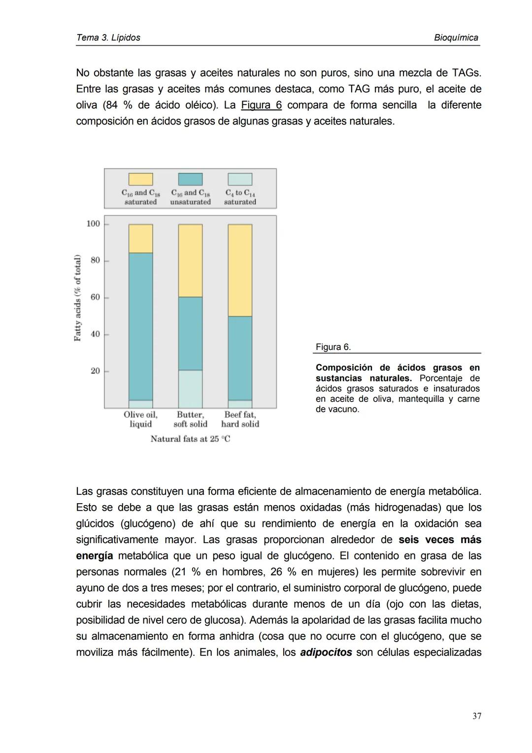 Tema 3. Lípidos
1. Introducción y clasificación
2. Acidos grasos
3. Ceras
4. Triacilglicéridos
5. Fosfoglicéridos
6. Esfigolípidos
7. Lípid