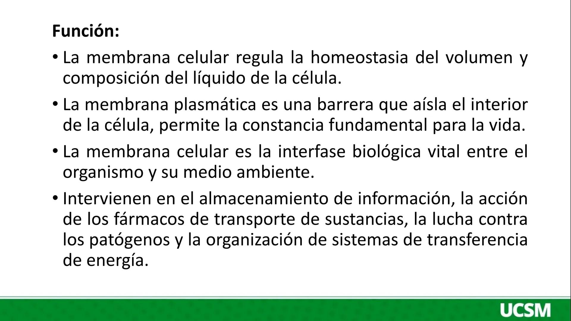 Universidad Católica
de Santa María
FISIOLOGÍA DE LA
MEMBRANA CELULAR
• Mtro: Fernando Torres Vela # Membrana celular
Fisiología de la Me