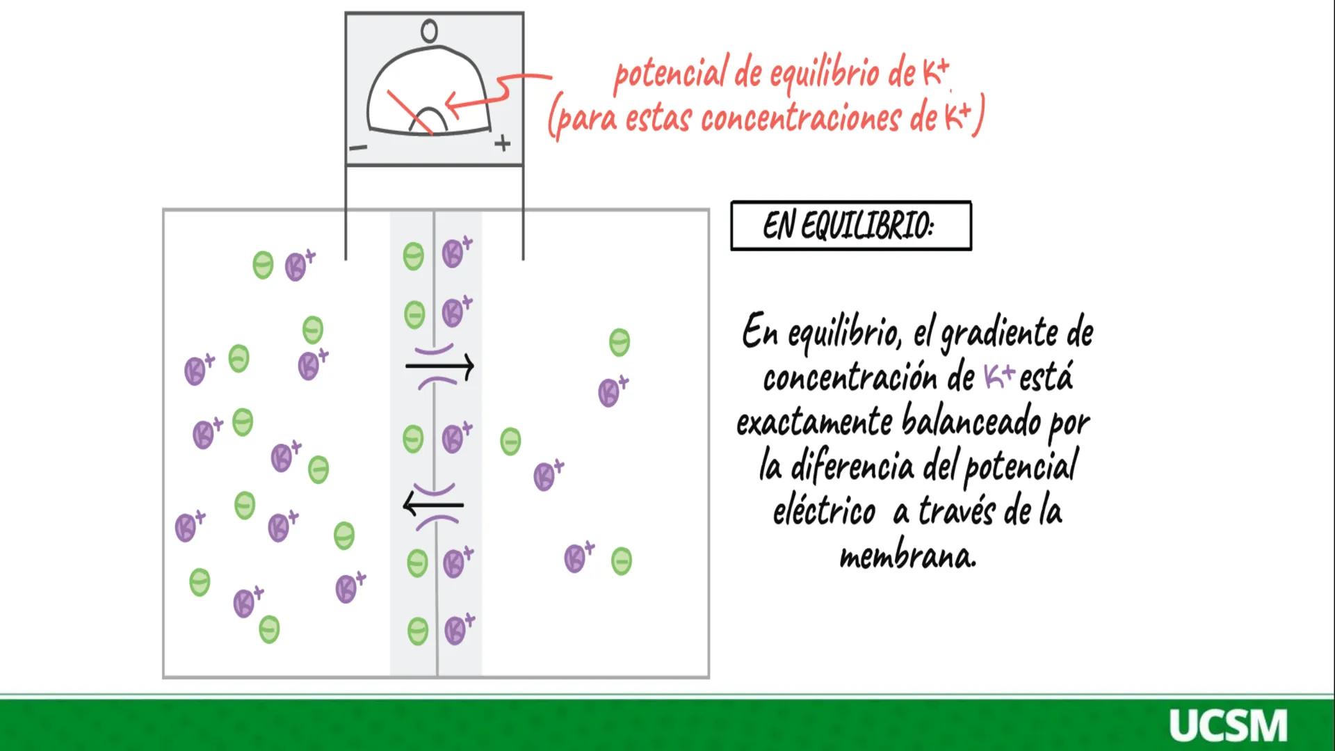 Universidad Católica
de Santa María
FISIOLOGÍA DE LA
MEMBRANA CELULAR
• Mtro: Fernando Torres Vela # Membrana celular
Fisiología de la Me