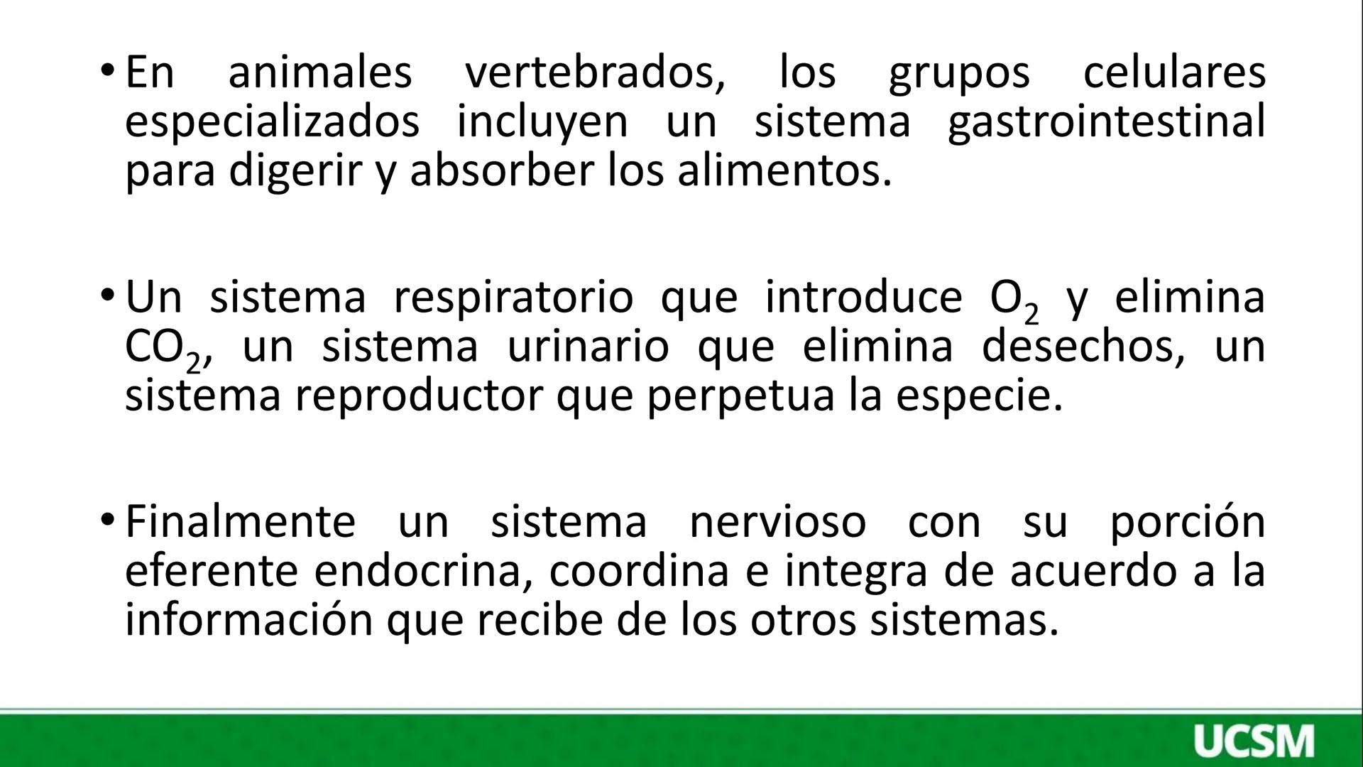 Universidad Católica
de Santa María
FISIOLOGÍA DE LA
MEMBRANA CELULAR
• Mtro: Fernando Torres Vela # Membrana celular
Fisiología de la Me