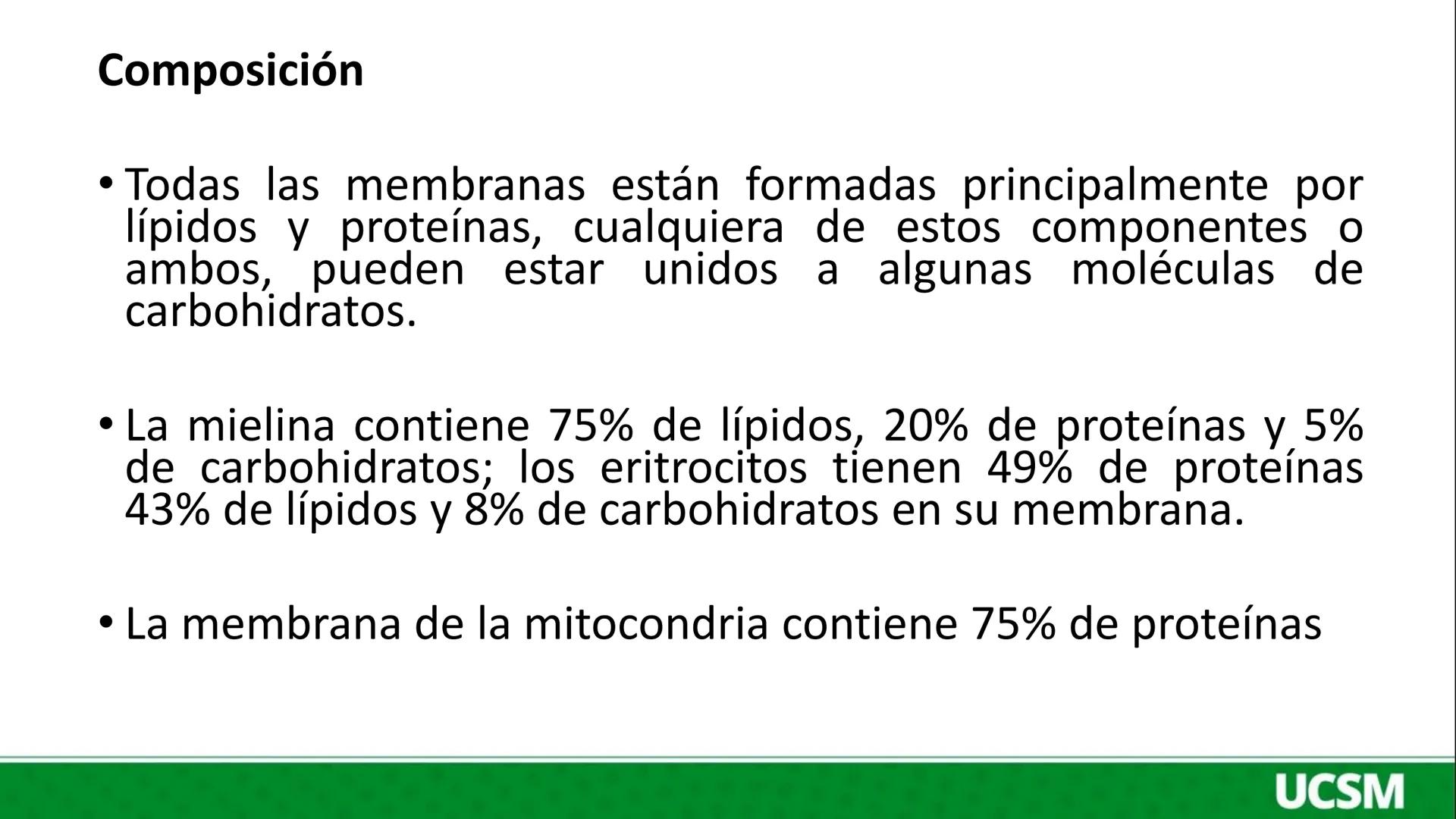 Universidad Católica
de Santa María
FISIOLOGÍA DE LA
MEMBRANA CELULAR
• Mtro: Fernando Torres Vela # Membrana celular
Fisiología de la Me