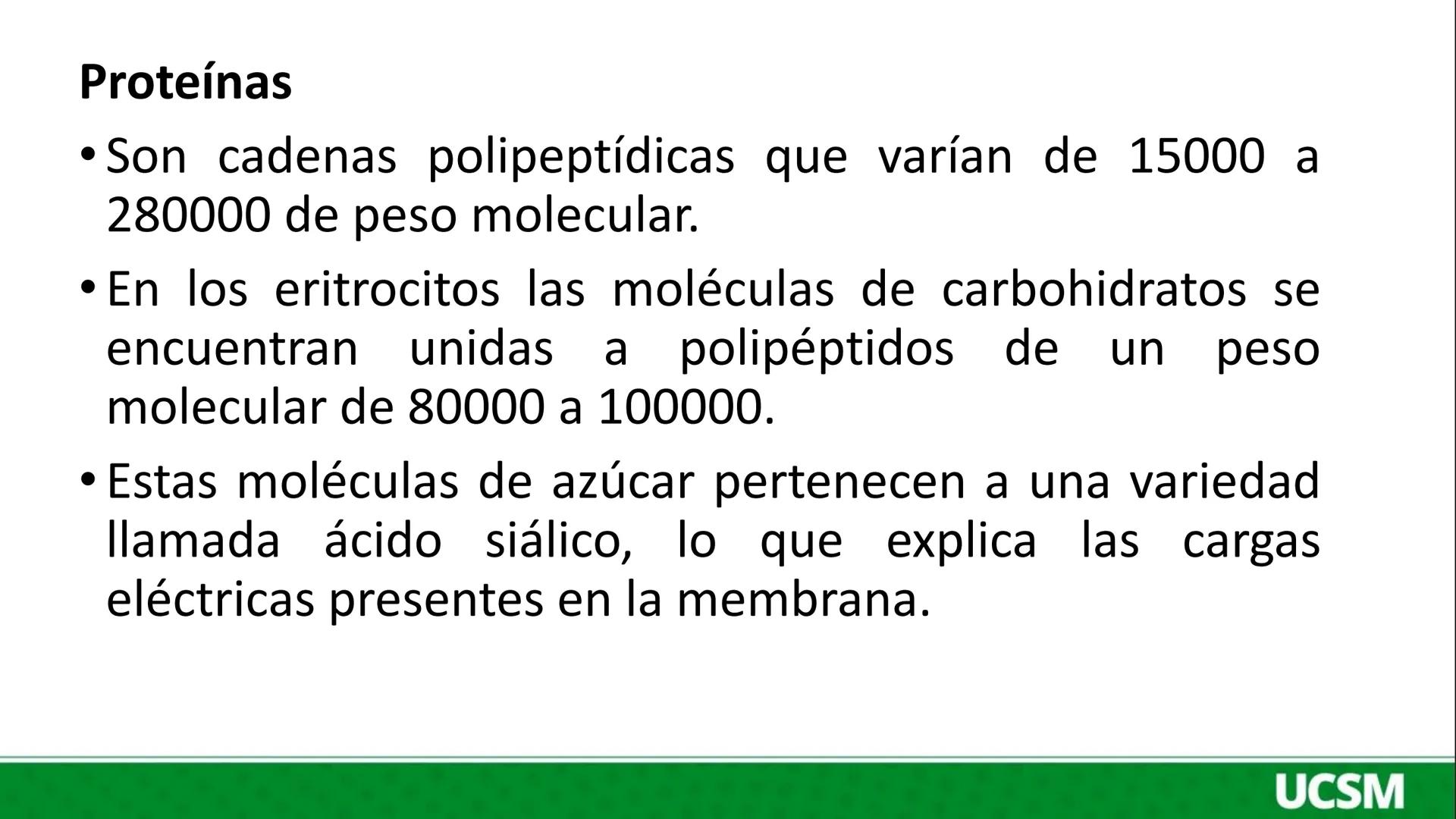 Universidad Católica
de Santa María
FISIOLOGÍA DE LA
MEMBRANA CELULAR
• Mtro: Fernando Torres Vela # Membrana celular
Fisiología de la Me