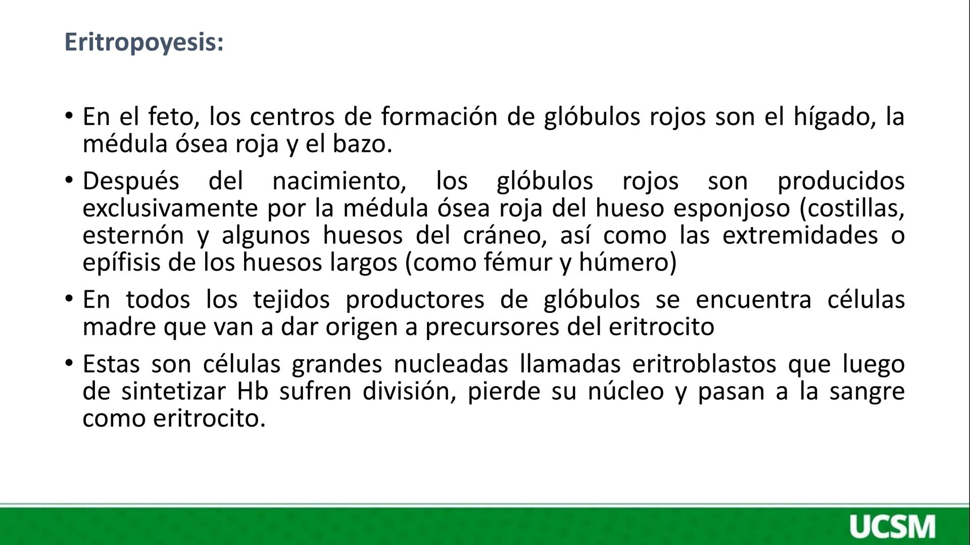 # Universidad Católica
## de Santa María
# FISIOLOGIA DE LA SANGRE
Mtro: FERNANDO TORRES VELA # SANGRE
• La sangre esta compuesta por un