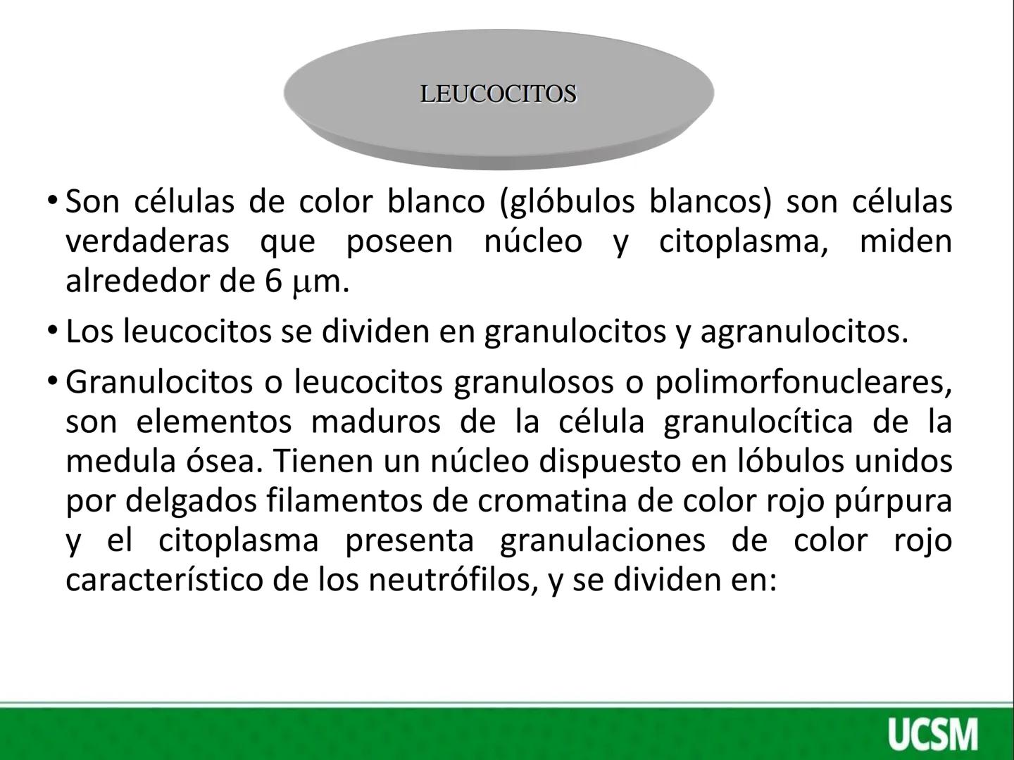 Universidad Católica
de Santa María
FISIOLOGIA DE LA SANGRE 2
Mtro: FERNANDO TORRES VELA # LEUCOCITOS
* Son células de color blanco (glóbul