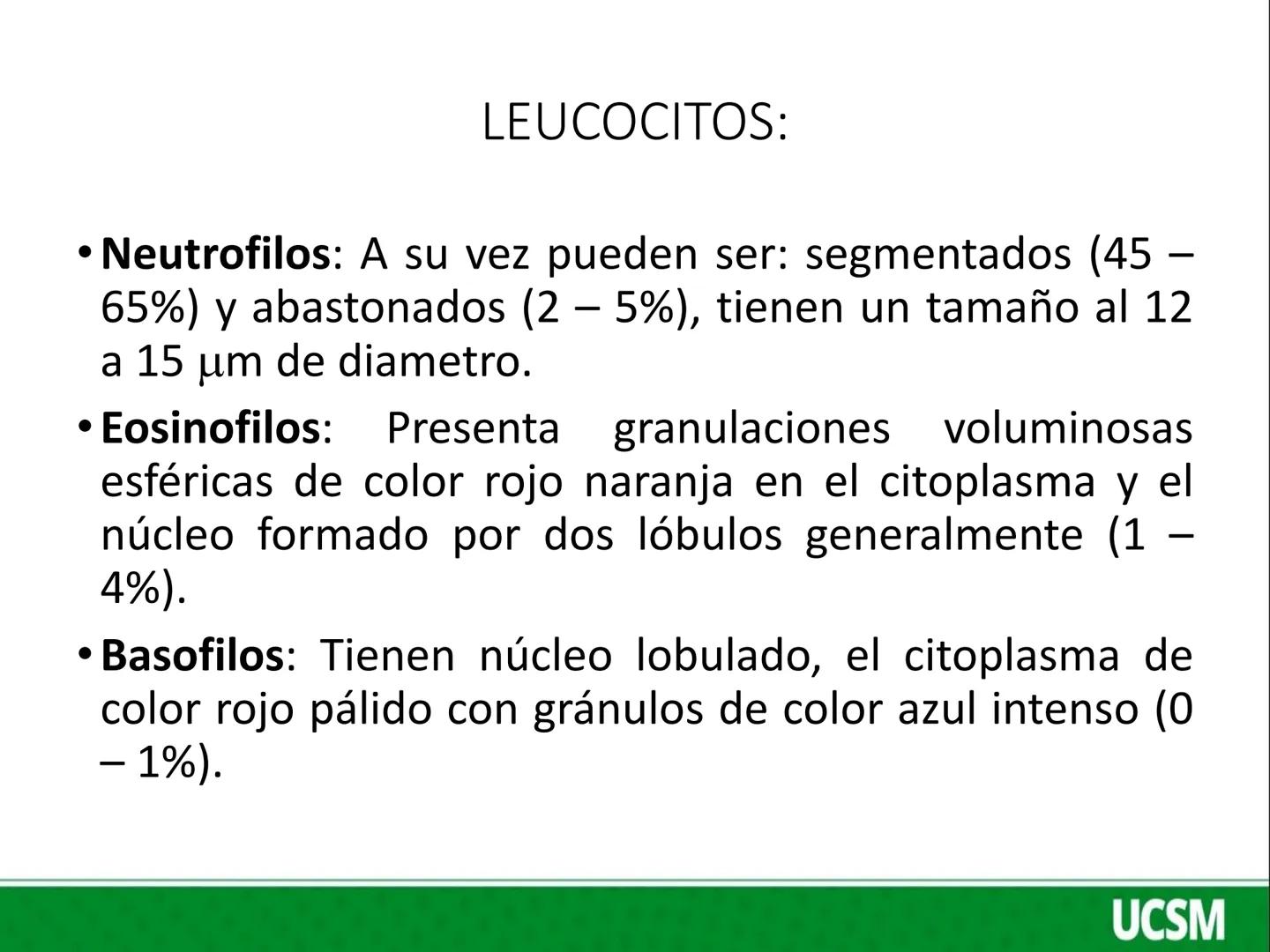 Universidad Católica
de Santa María
FISIOLOGIA DE LA SANGRE 2
Mtro: FERNANDO TORRES VELA # LEUCOCITOS
* Son células de color blanco (glóbul