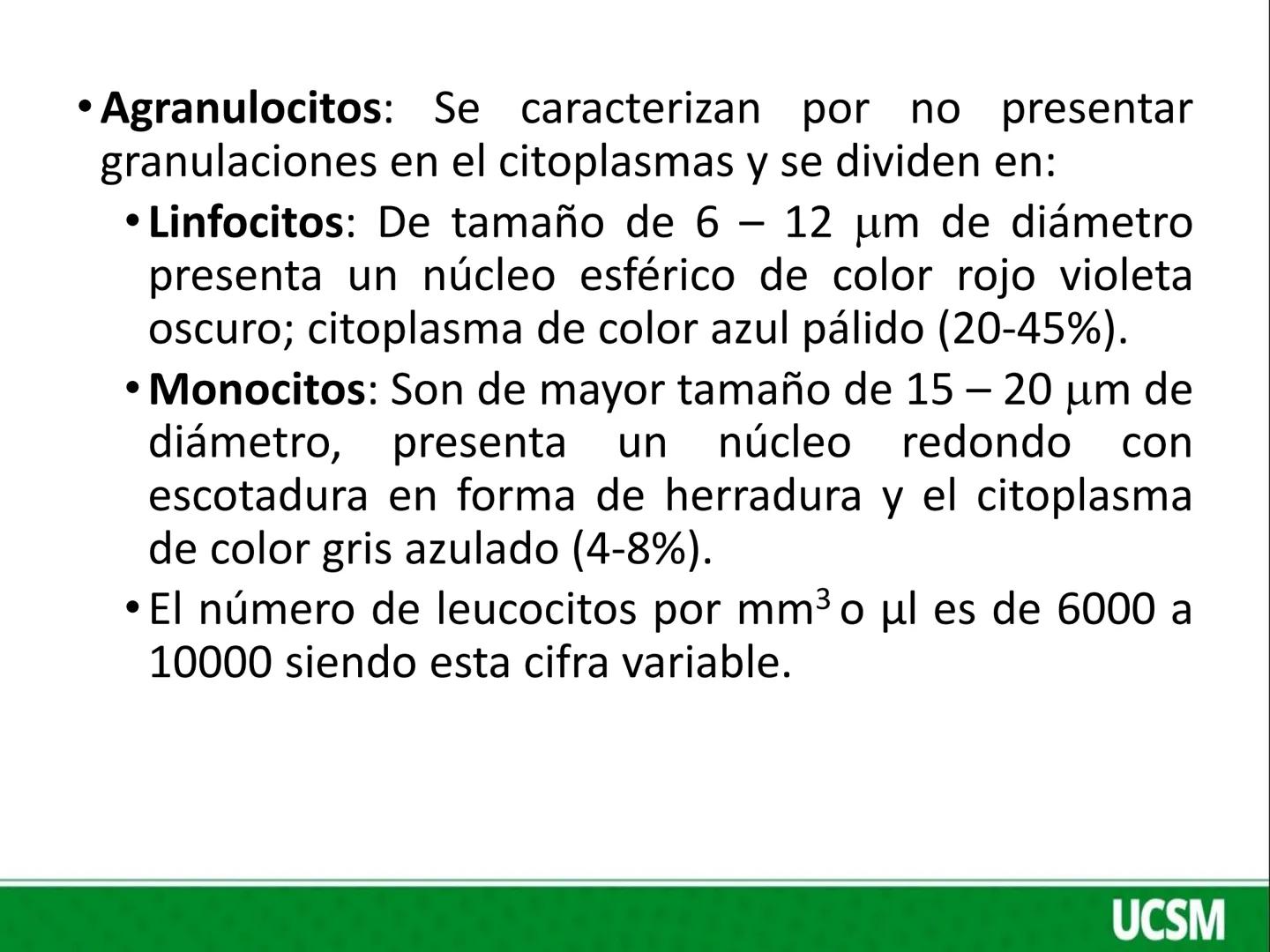 Universidad Católica
de Santa María
FISIOLOGIA DE LA SANGRE 2
Mtro: FERNANDO TORRES VELA # LEUCOCITOS
* Son células de color blanco (glóbul