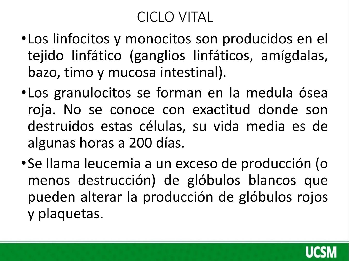 Universidad Católica
de Santa María
FISIOLOGIA DE LA SANGRE 2
Mtro: FERNANDO TORRES VELA # LEUCOCITOS
* Son células de color blanco (glóbul